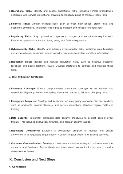 Free Car Rental Operational Plan Template to Edit Online