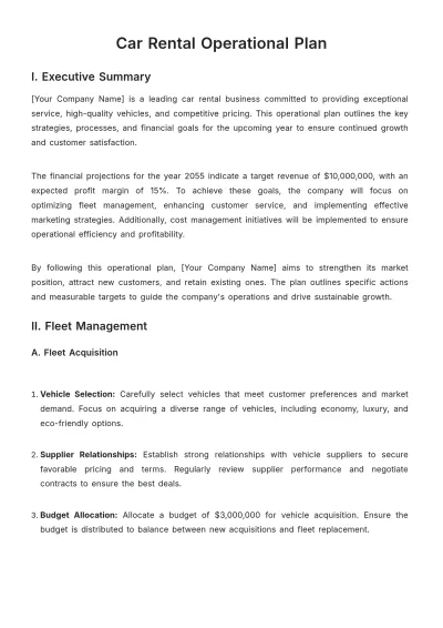 Free Car Rental Operational Plan Template to Edit Online