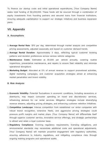 Free Car Rental Financial Plan Template to Edit Online