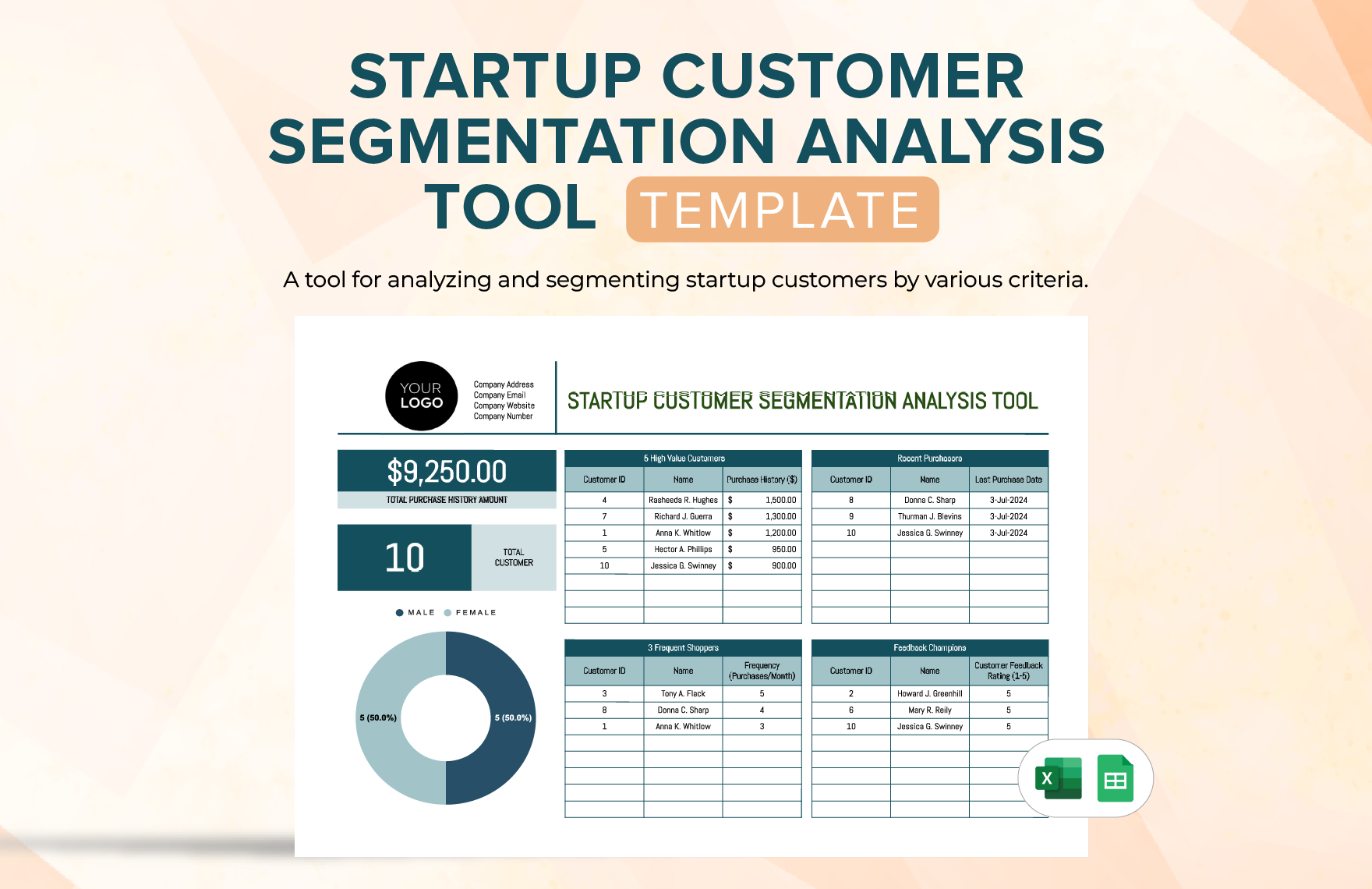 Startup Customer Segmentation Analysis Tool Template in Excel, Google Sheets