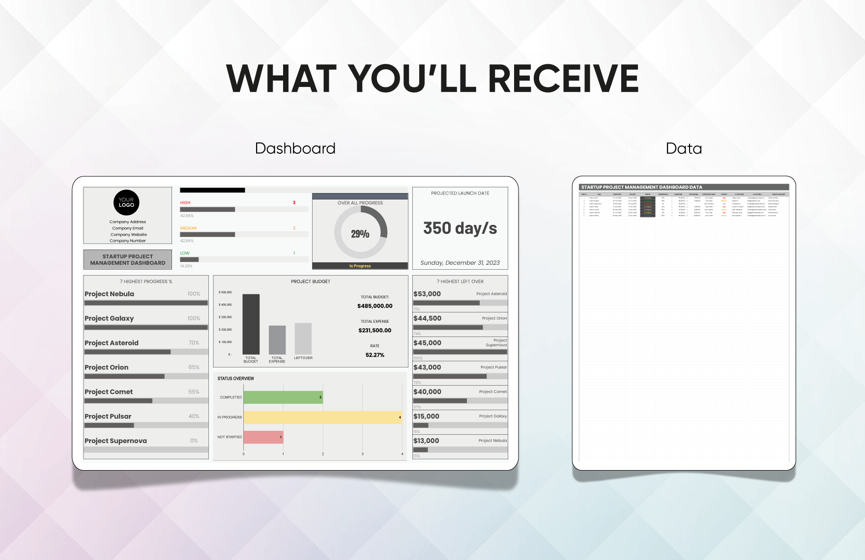 Startup Project Management Dashboard Template