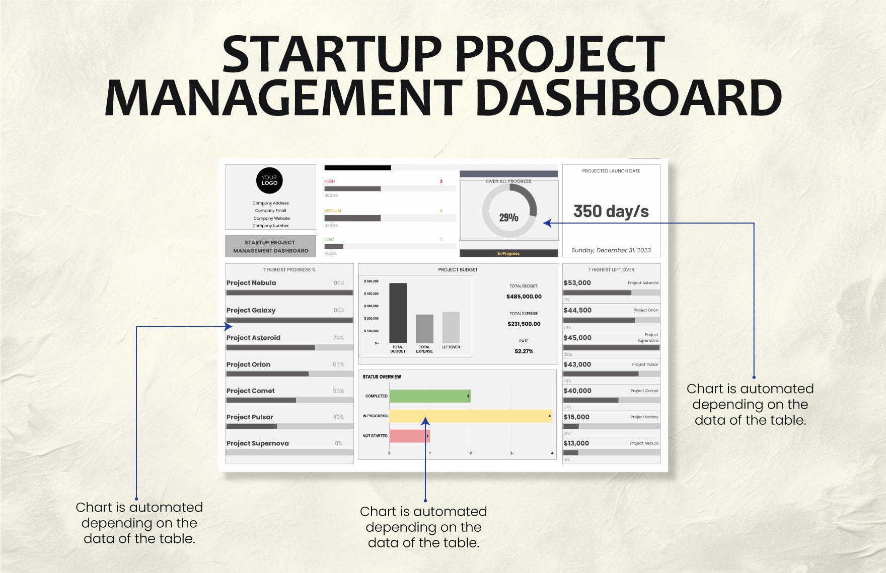 Startup Project Management Dashboard Template
