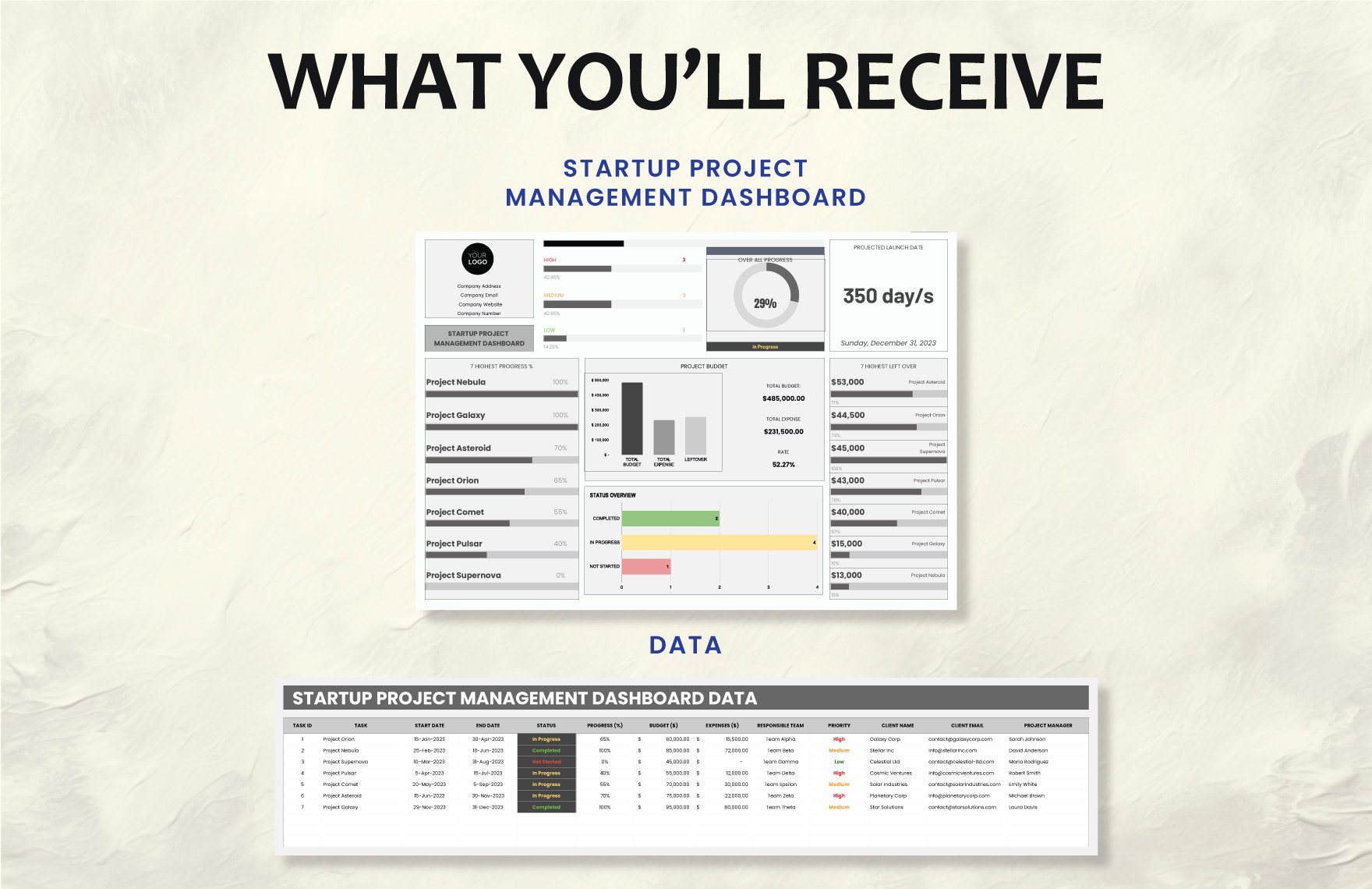 Startup Project Management Dashboard Template