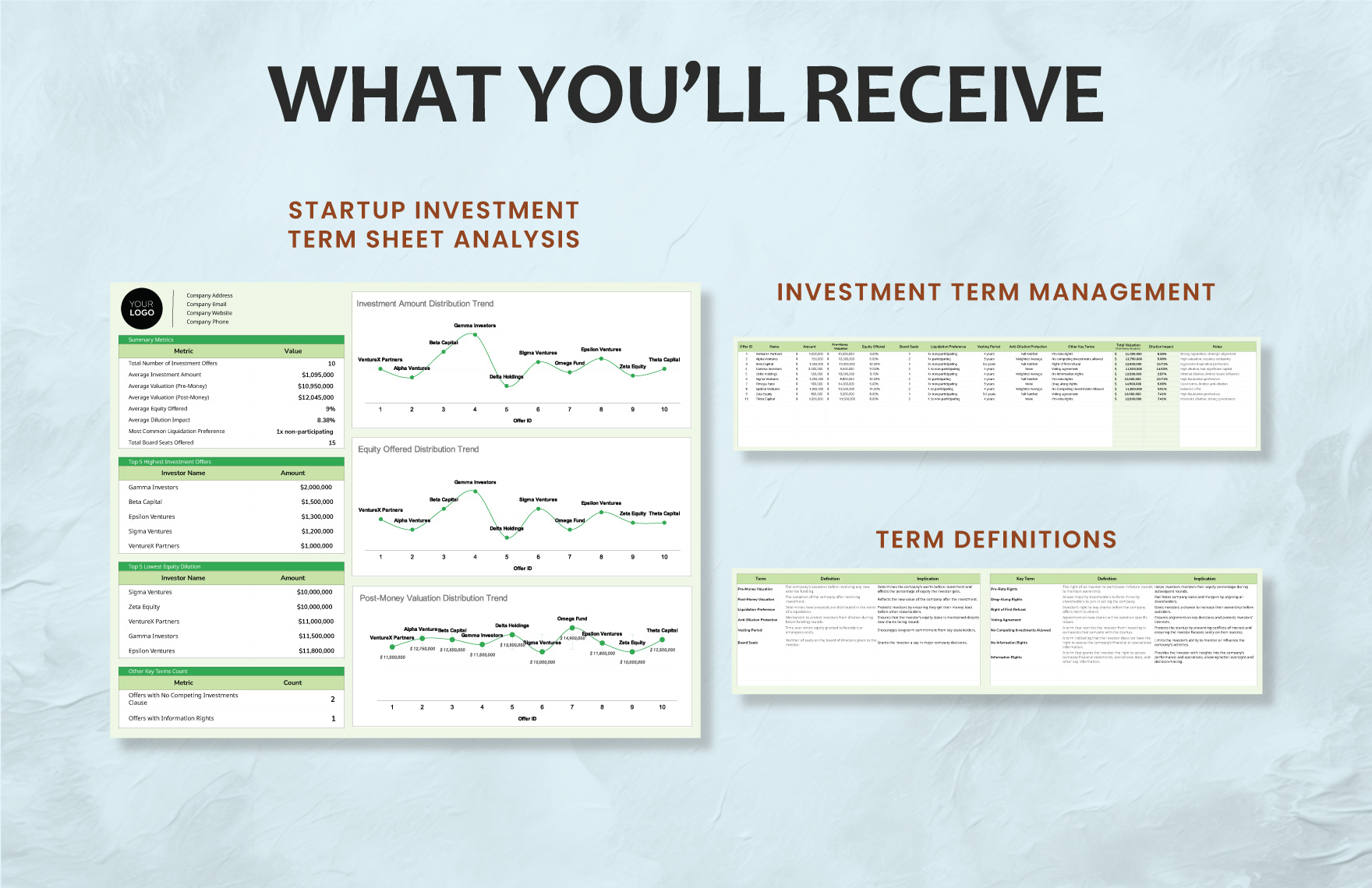 Startup Investment Term Sheet Analysis Template