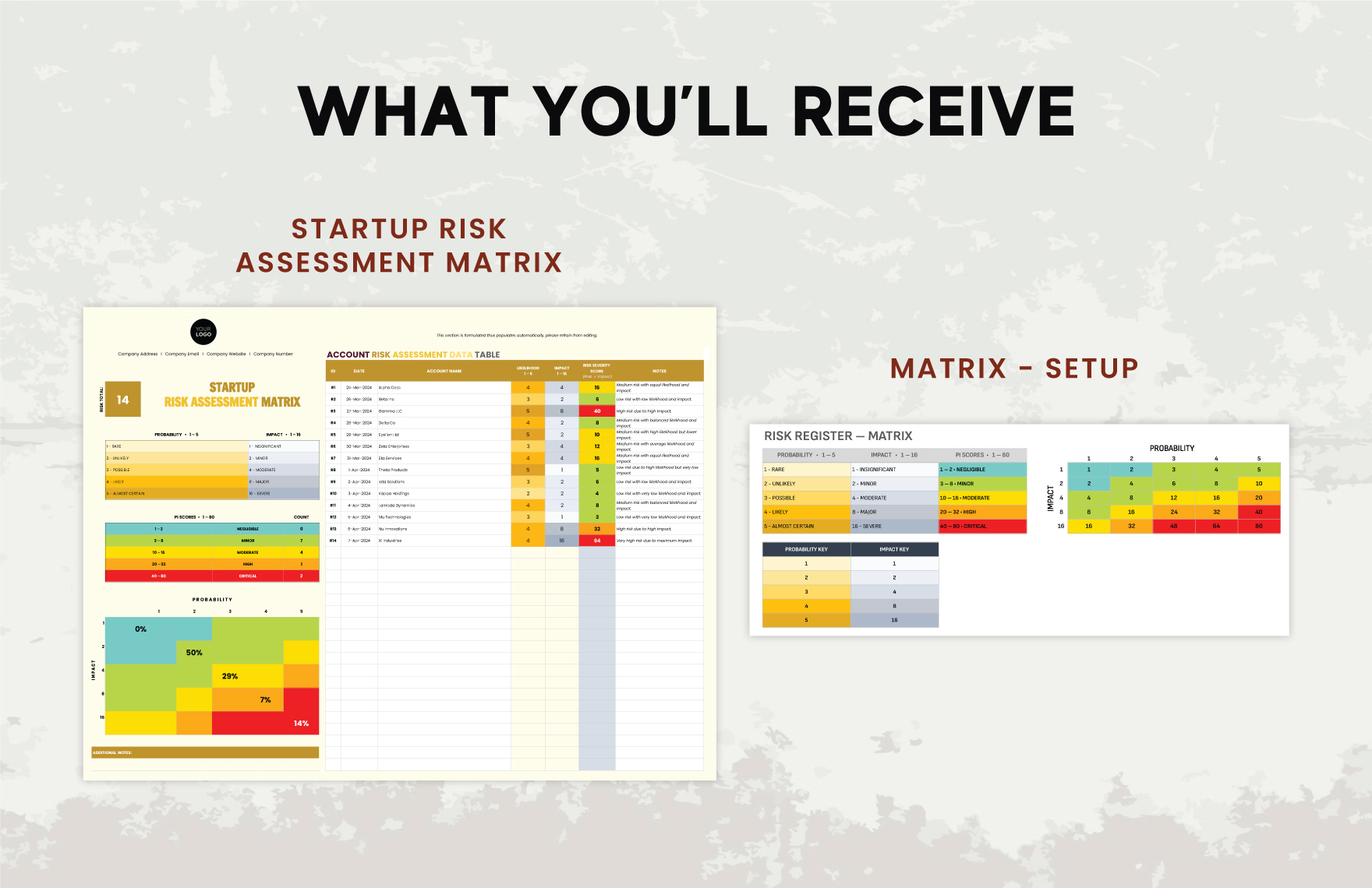 Startup Risk Assessment Matrix Template
