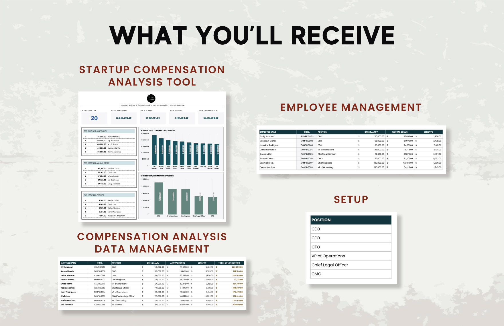 Startup Compensation Analysis Tool Template