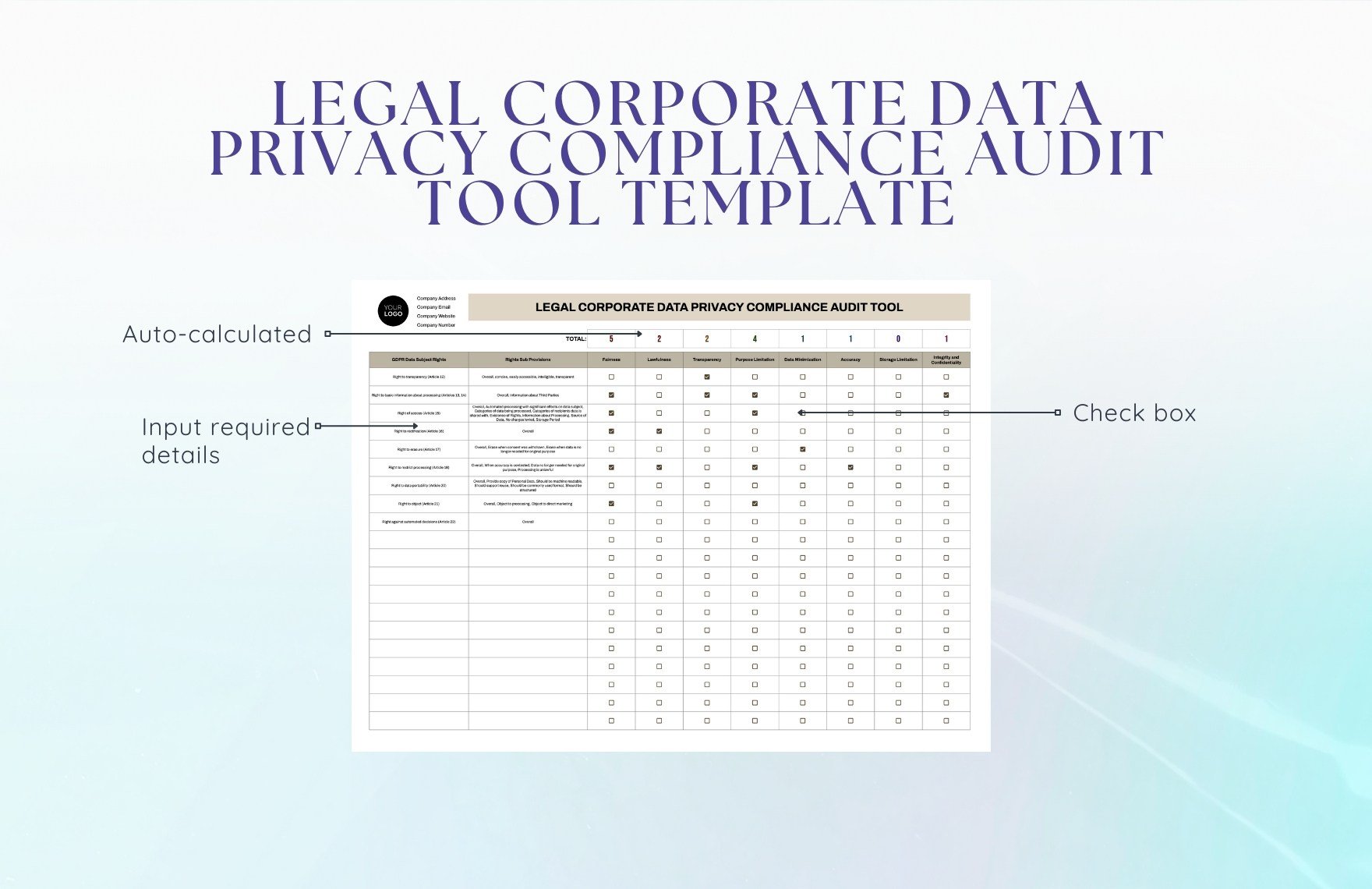 Legal Corporate Data Privacy Compliance Audit Tool Template