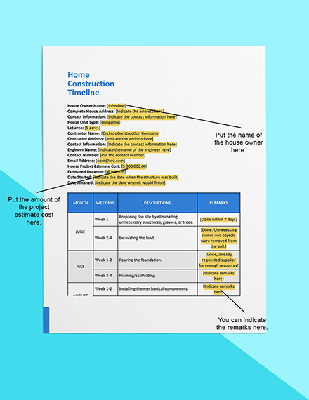 construction timeline software