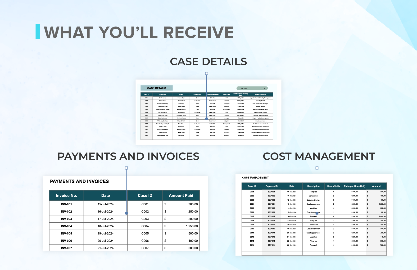 Legal Case and Client Database Template