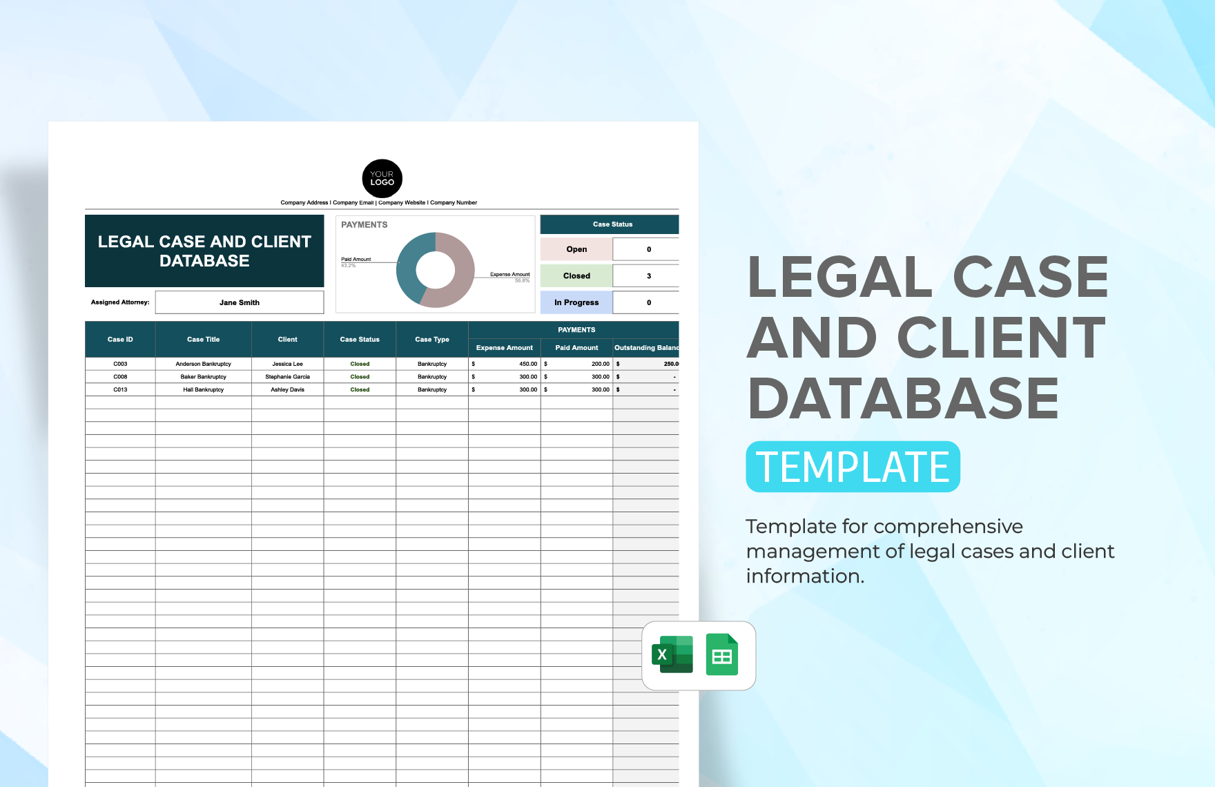 Legal Case and Client Database Template in Excel, Google Sheets
