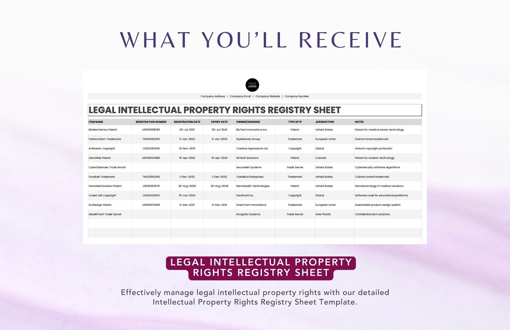 Legal Intellectual Property Rights Registry Sheet Template