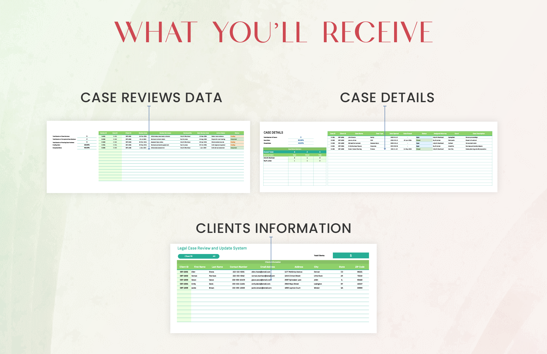 Legal Case Review and Update System Template