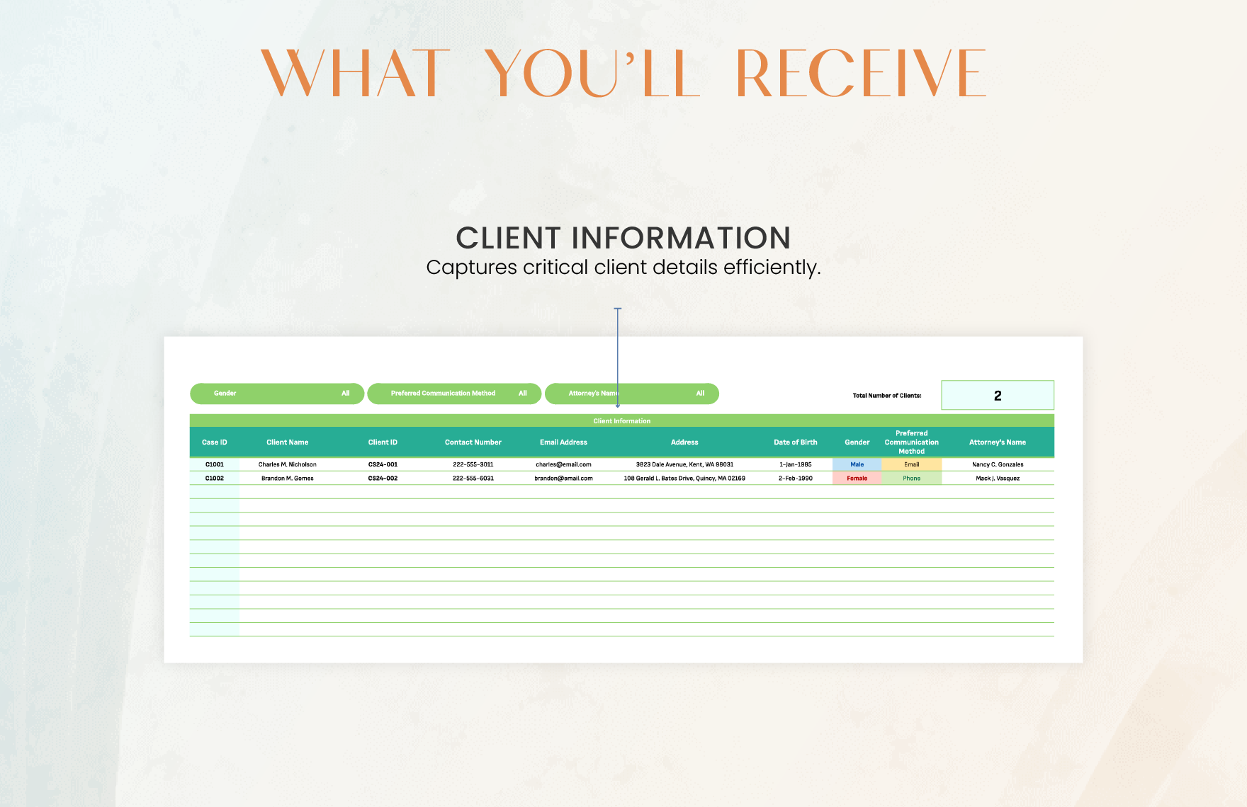 Legal Case Evidence Tracker Template