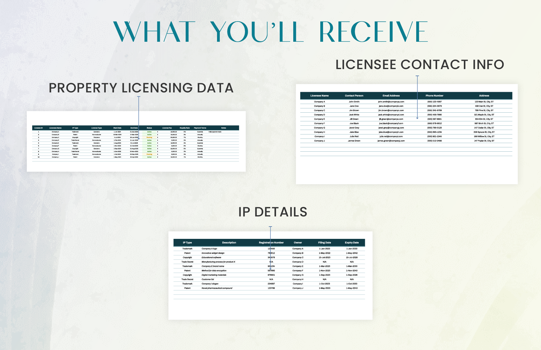 Legal Intellectual Property Licensing Database Template