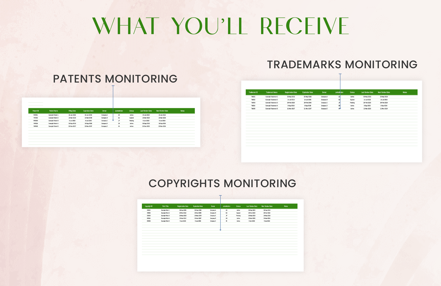 Legal Intellectual Property Compliance Monitoring Template