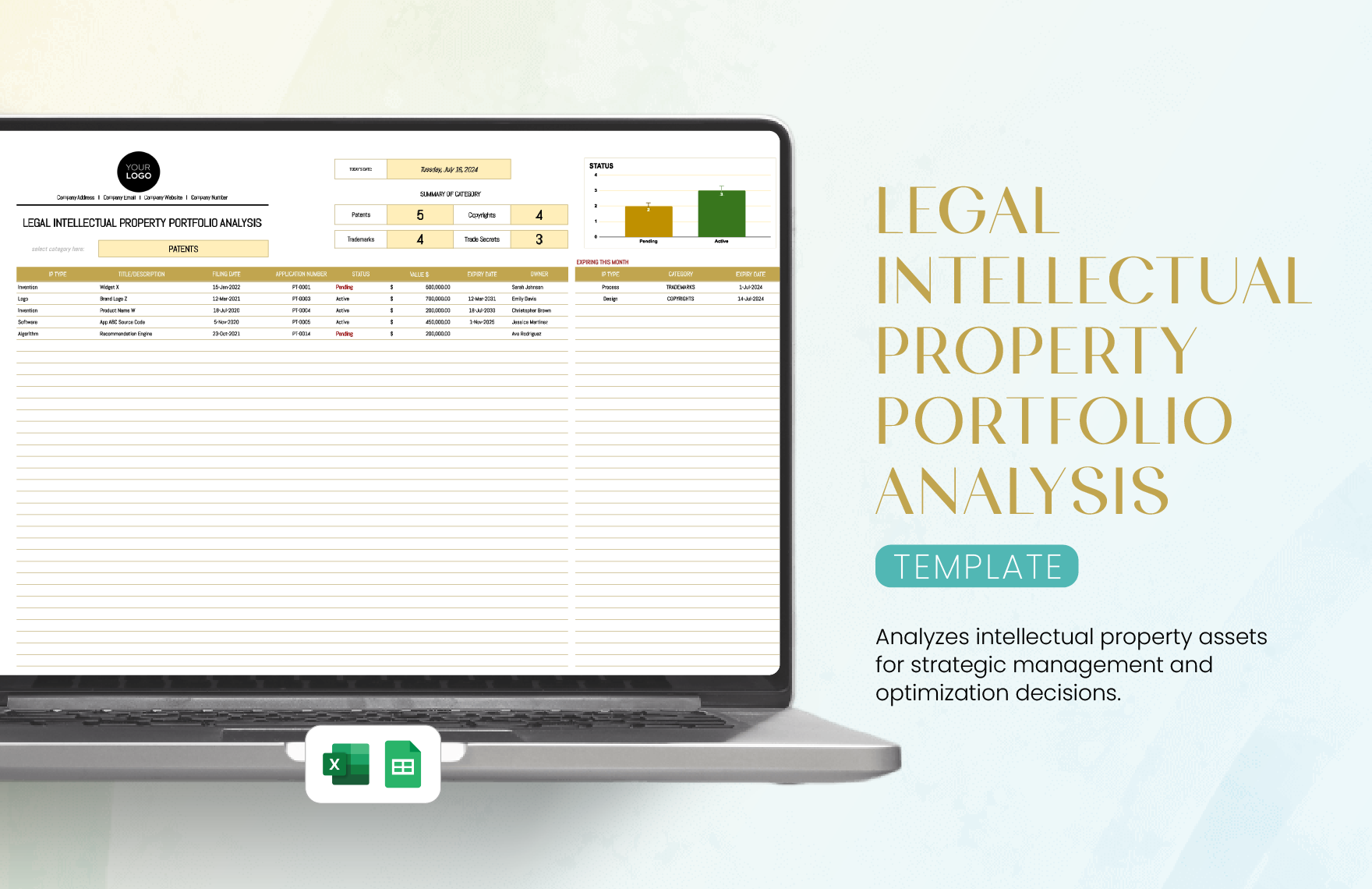 Legal Intellectual Property Portfolio Analysis Template in Excel, Google Sheets