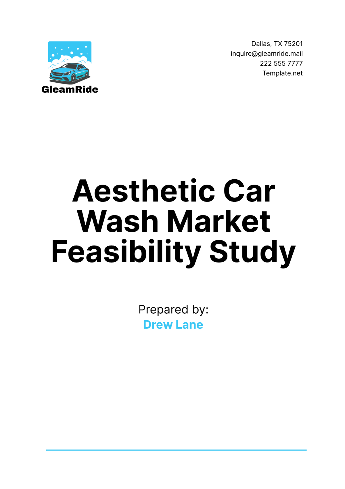 Aesthetic Car Wash Market Feasibility Study Template - Edit Online & Download