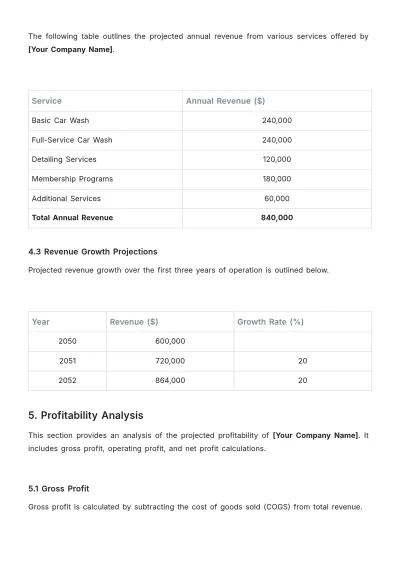 Free Car Wash Feasibility Study Budget Template to Edit Online
