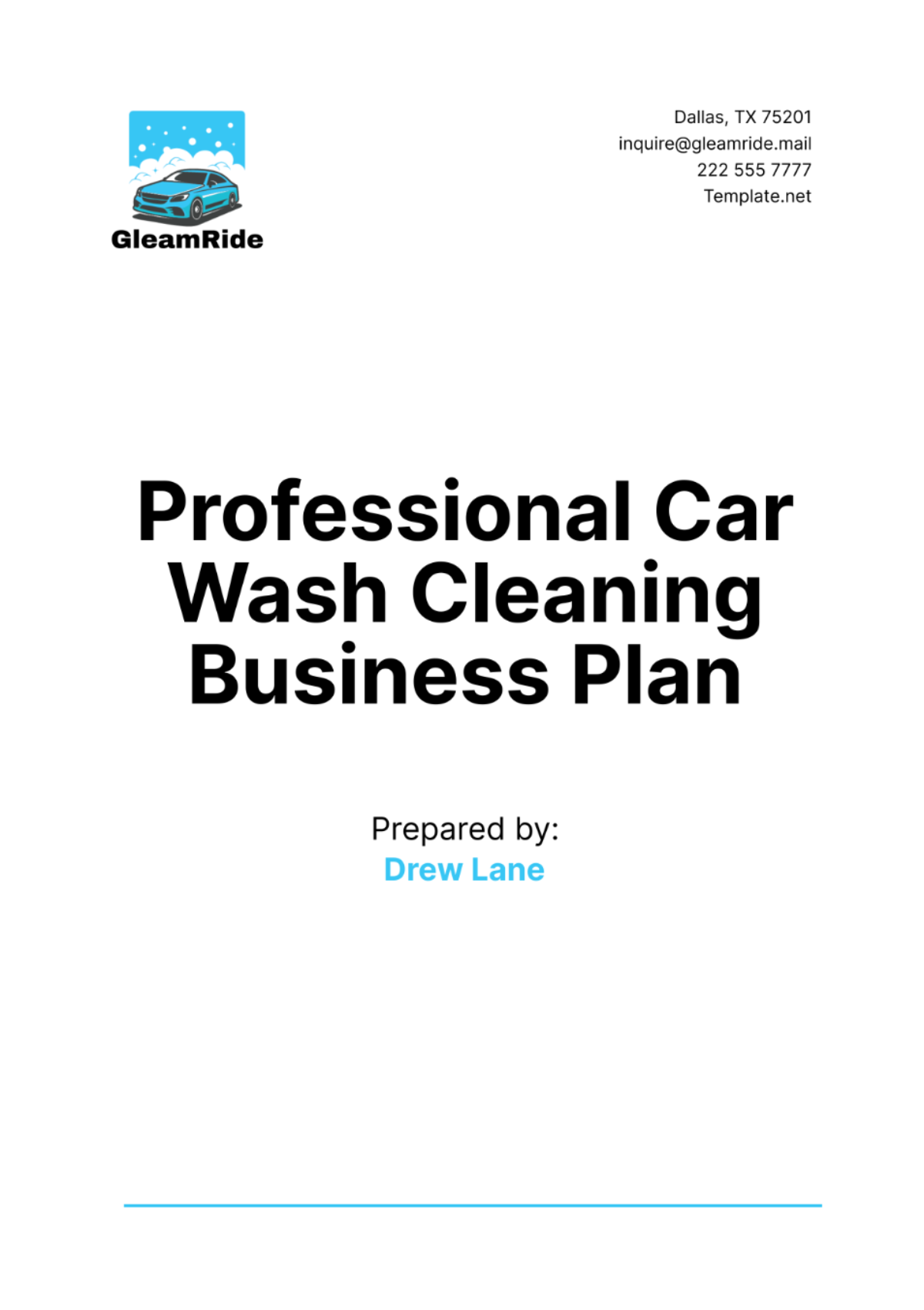 Professional Car Wash Cleaning Business Plan Template