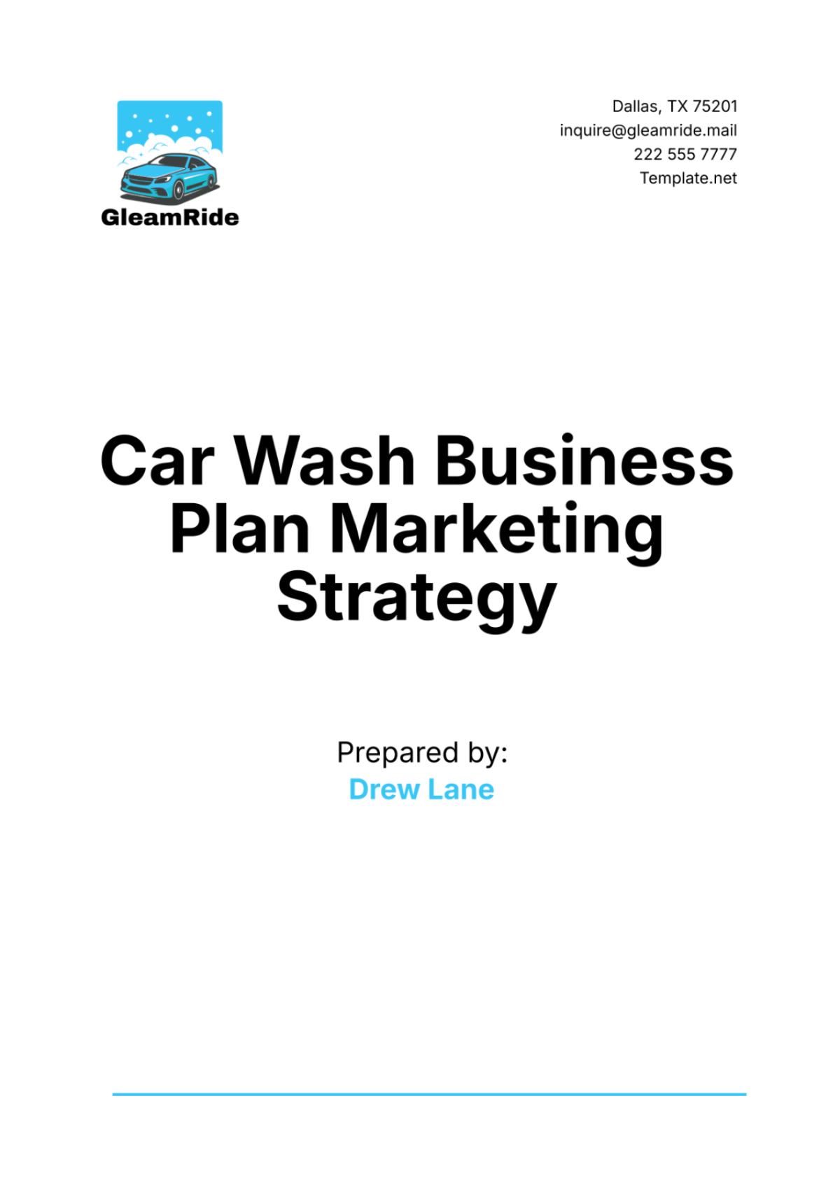 Car Wash Business Plan Marketing Strategy Template - Edit Online & Download