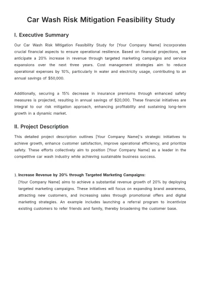 Free Car Wash Risk Mitigation Feasibility Study Template to Edit Online