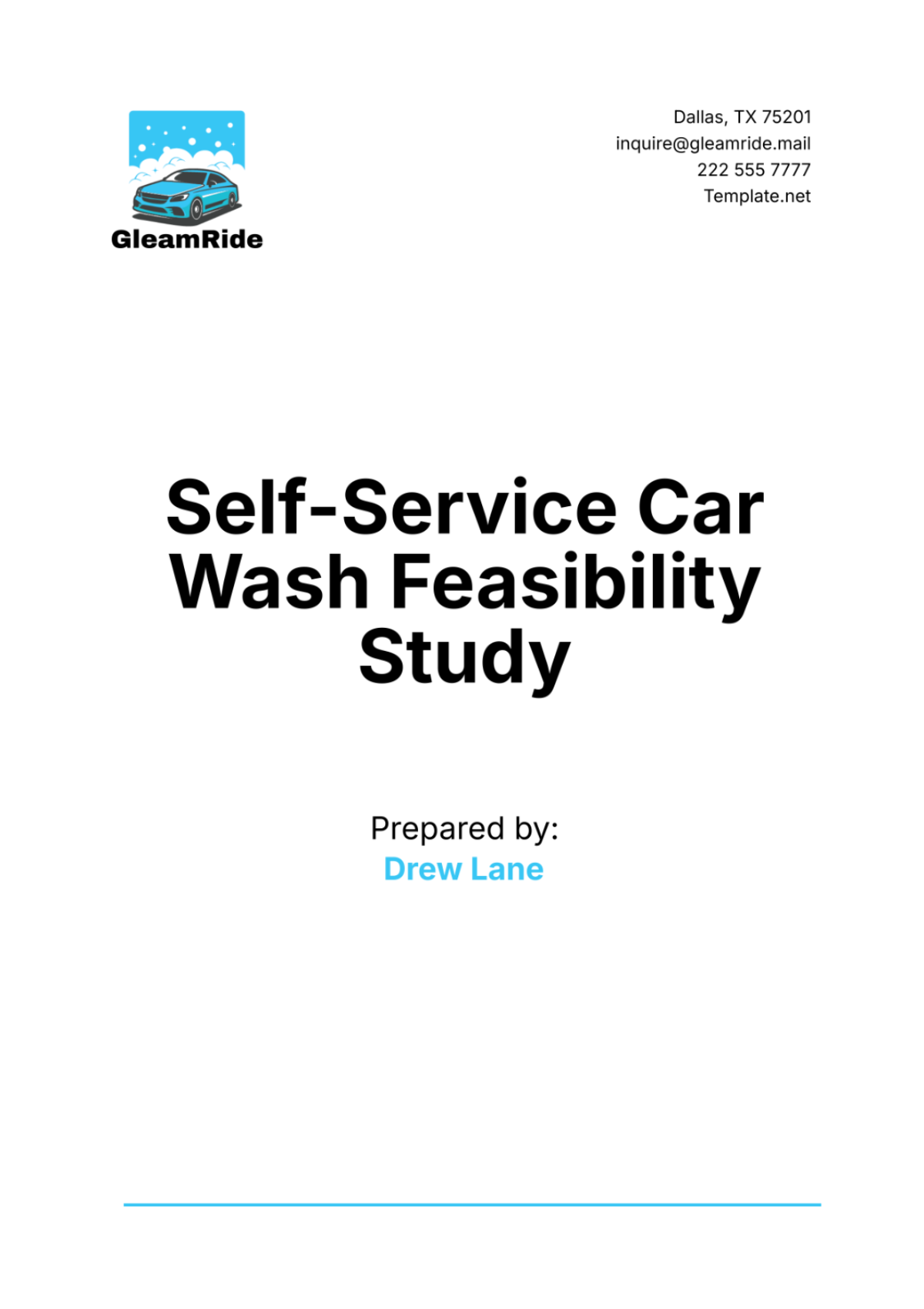 Self-Service Car Wash Feasibility Study Sample Template - Edit Online & Download