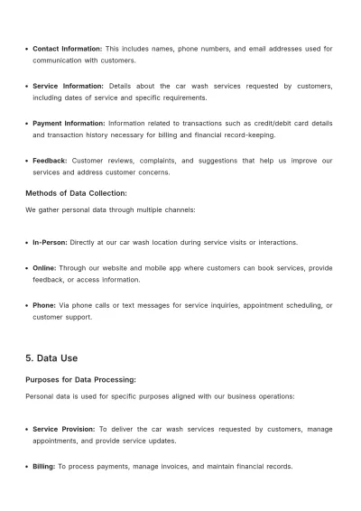 Free Car Wash Data Protection Policy Format Template to Edit Online