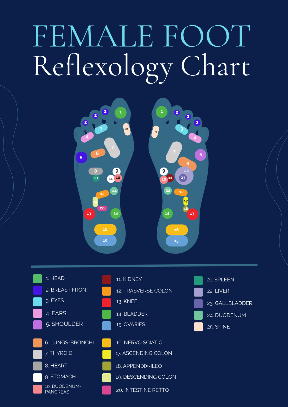 Female Foot Reflexology Chart
