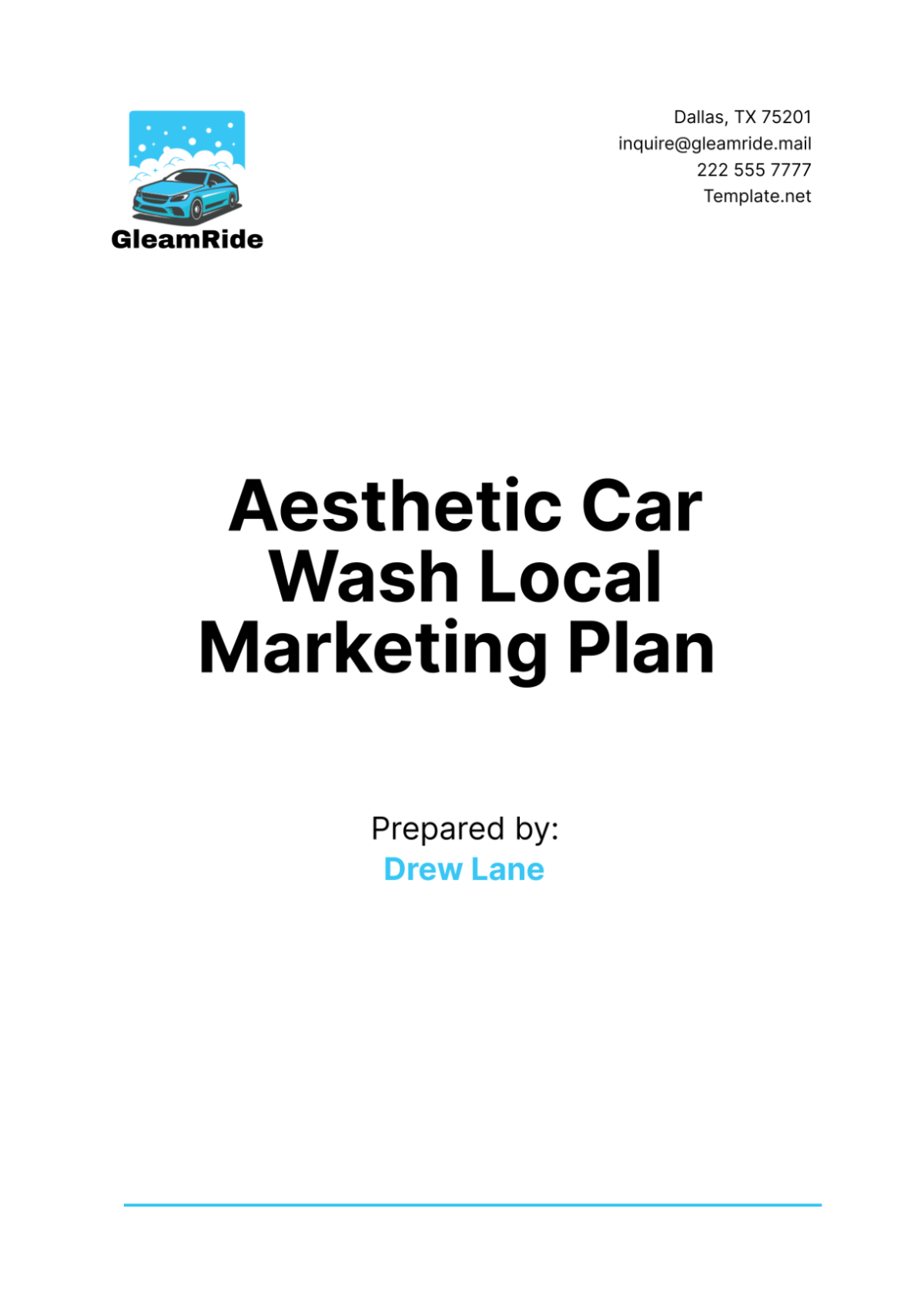 Aesthetic Car Wash Local Marketing Plan Template - Edit Online & Download