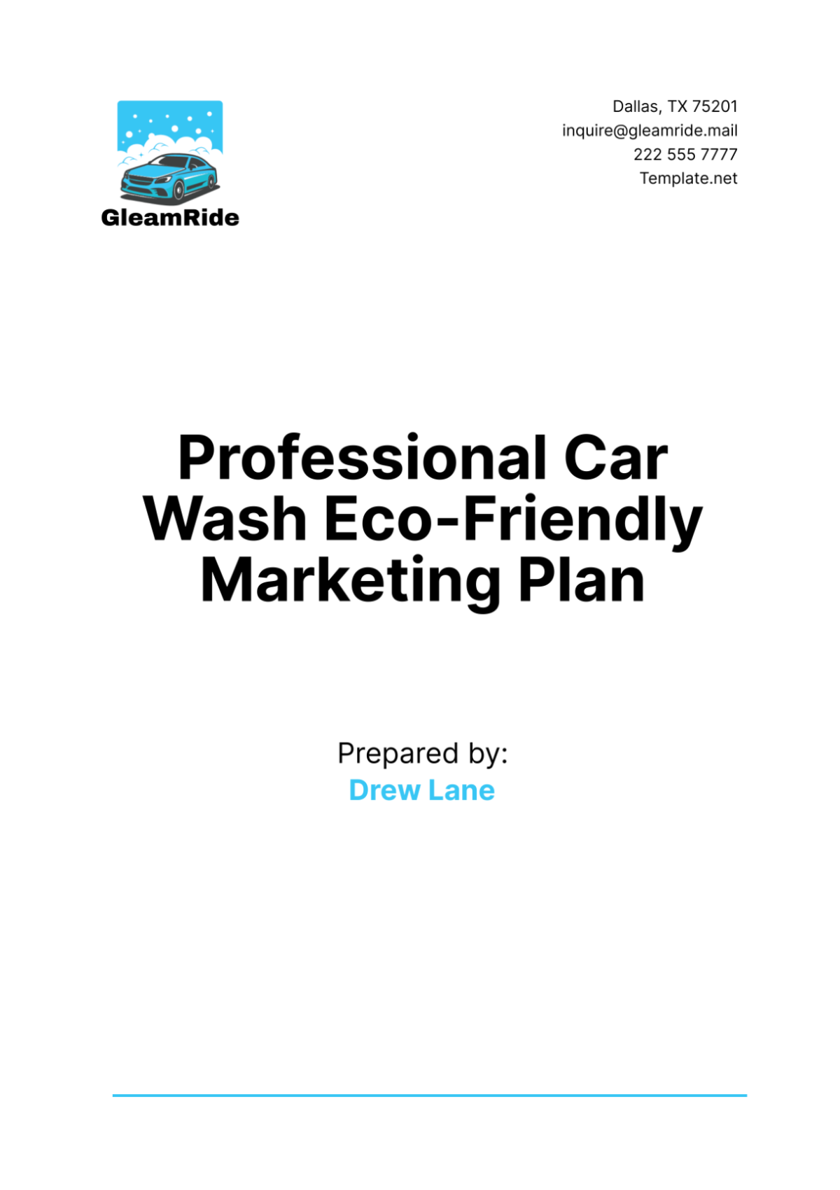 Professional Car Wash Eco-Friendly Marketing Plan Template - Edit Online & Download