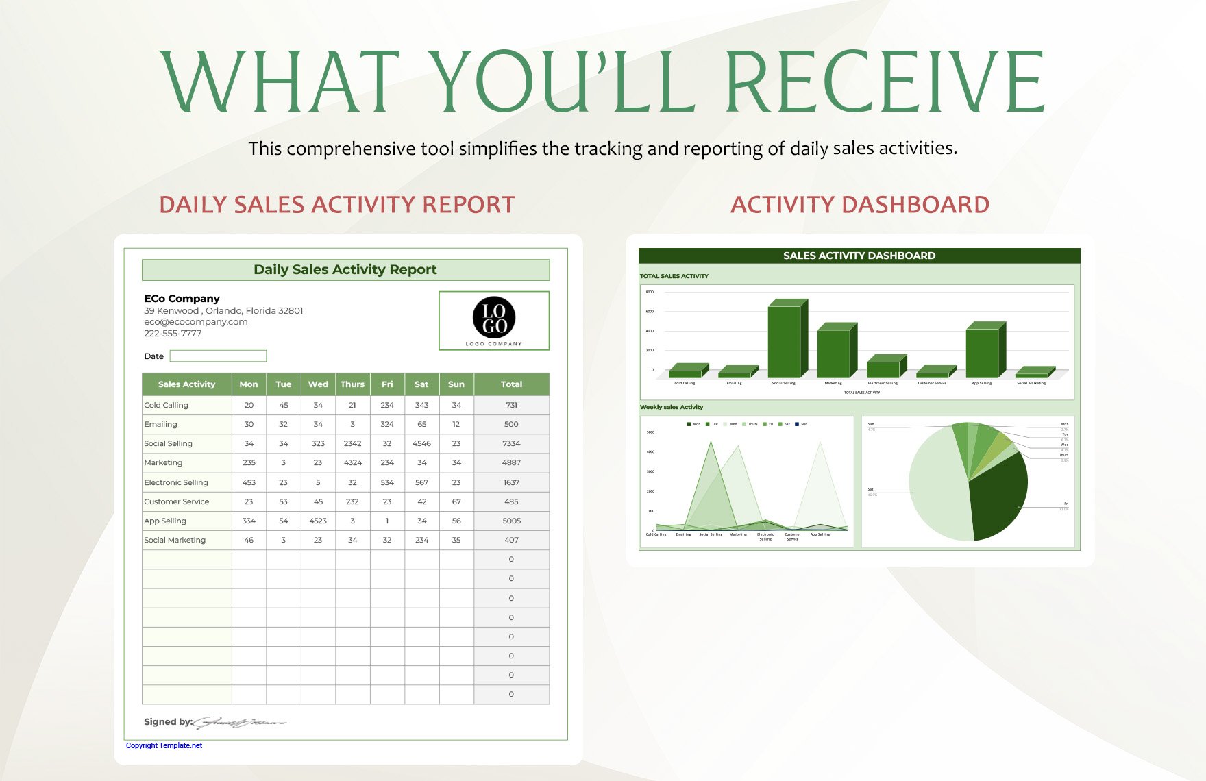 Daily Sales Activity Report Template