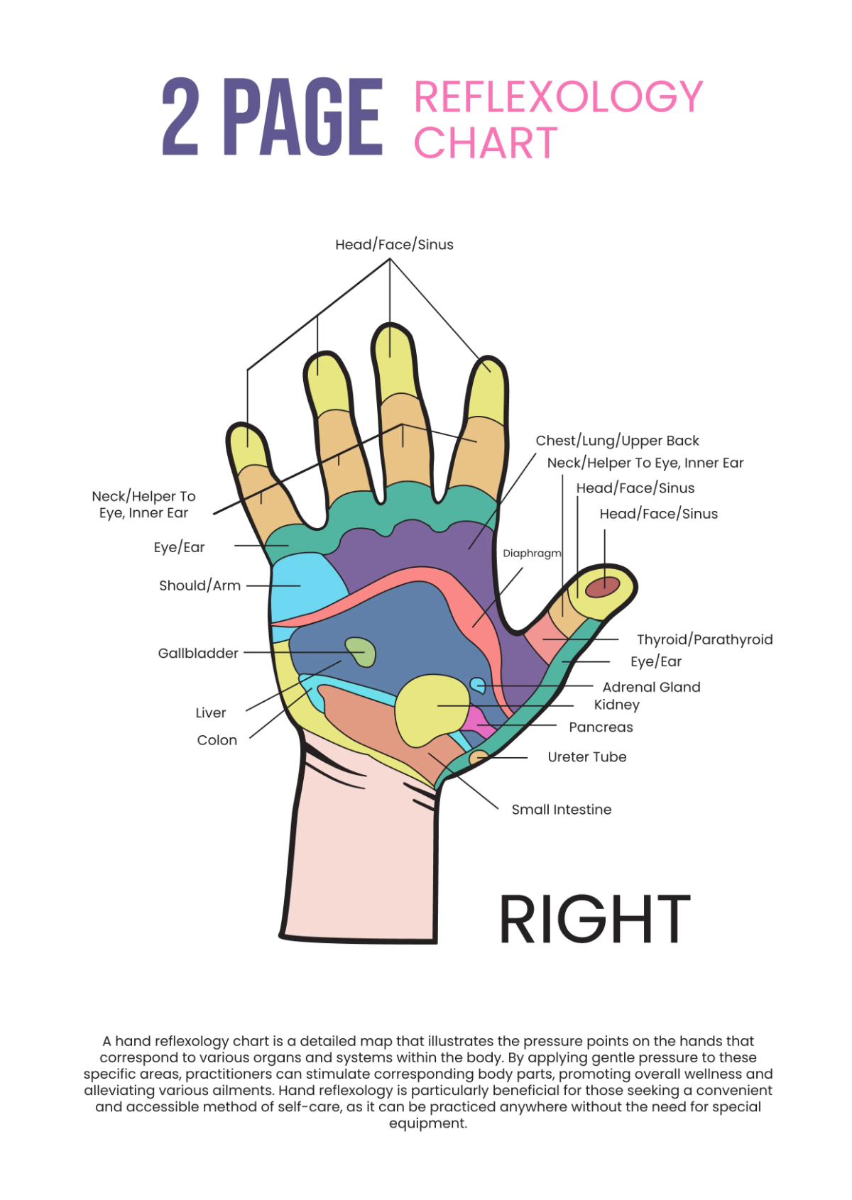 Free 2 Page Reflexology Chart Template to Edit Online