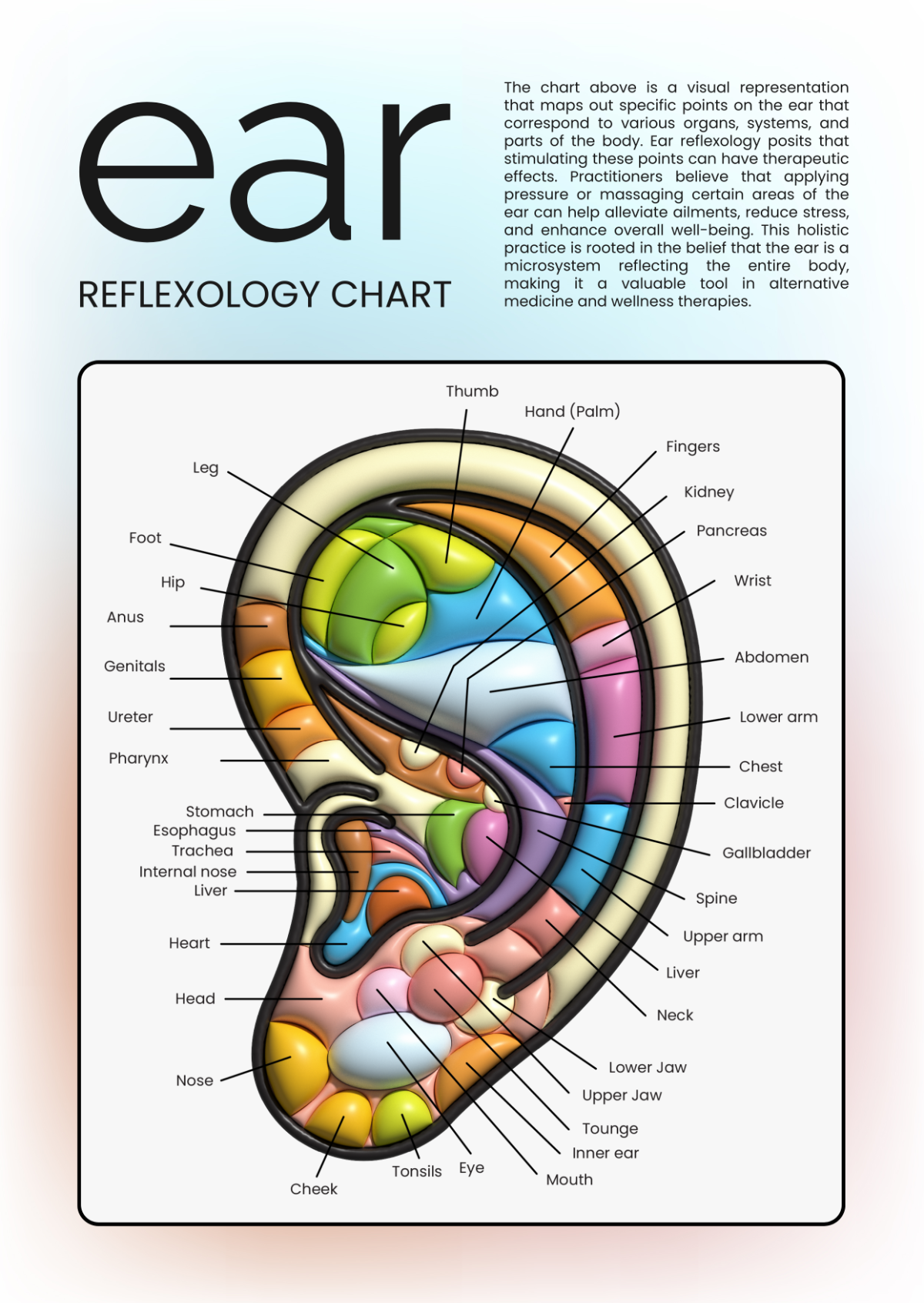 Ear Reflexology Chart