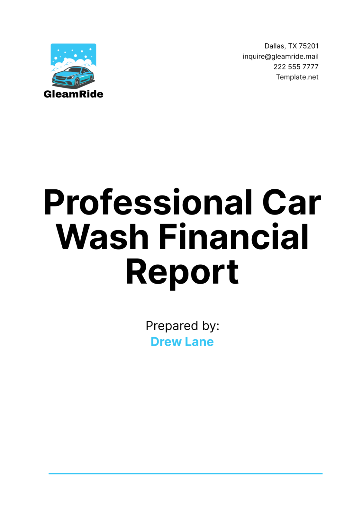 Professional Car Wash Financial Report Template - Edit Online & Download