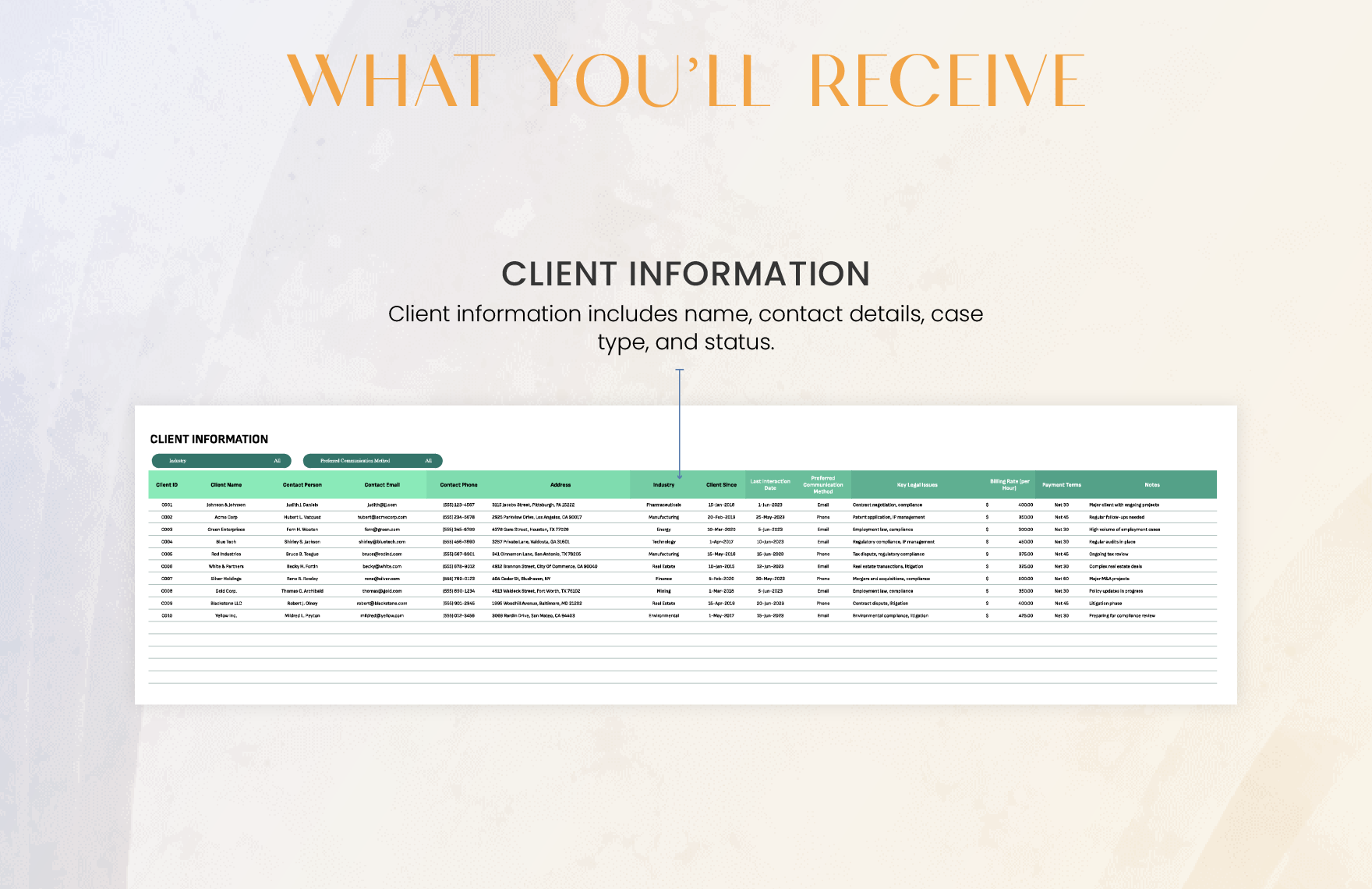 Legal Client Information Database Template