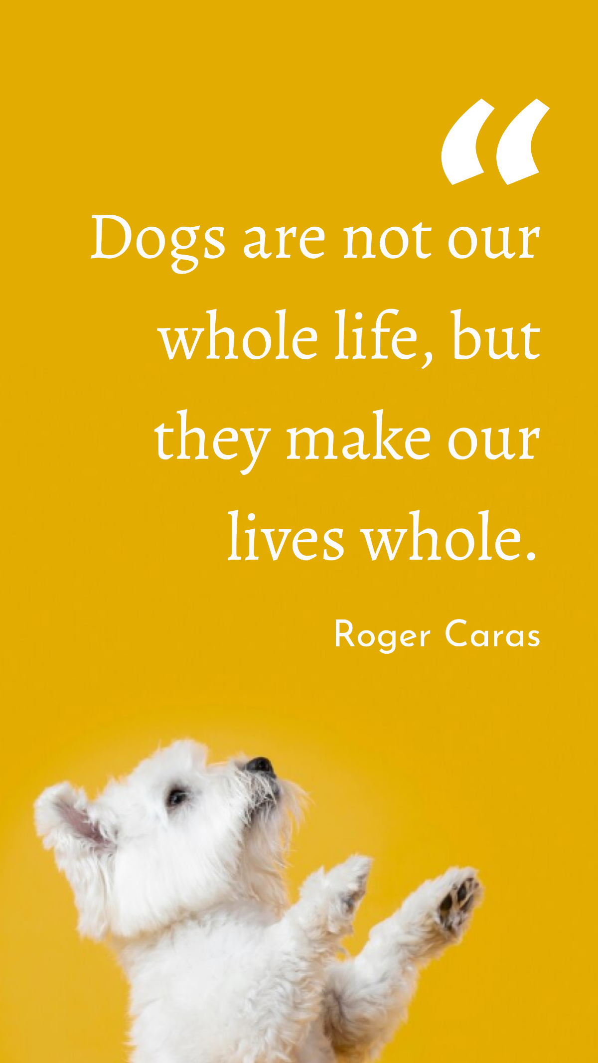 International Dog Day Inspirational Quote