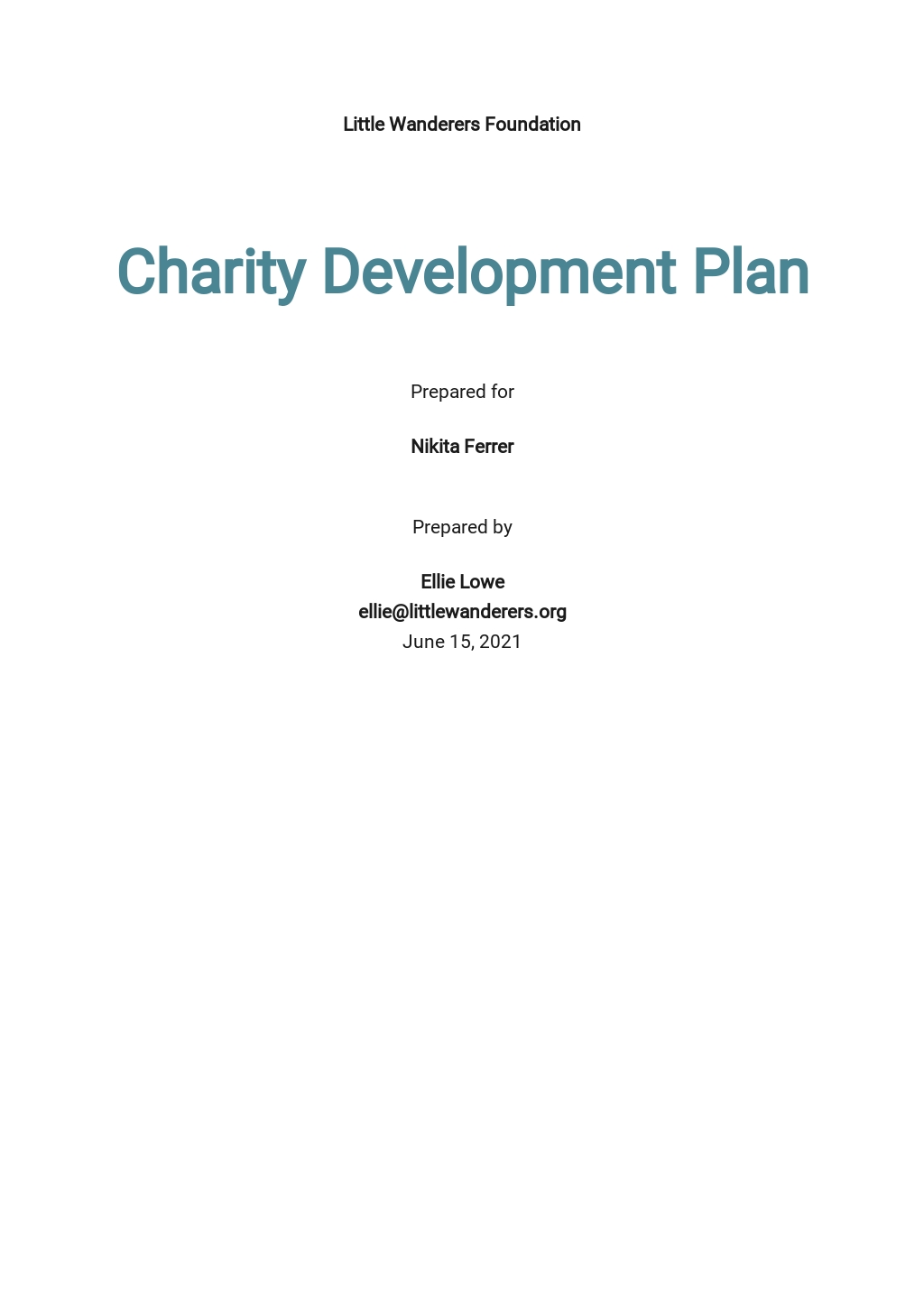 3 year charity business plan