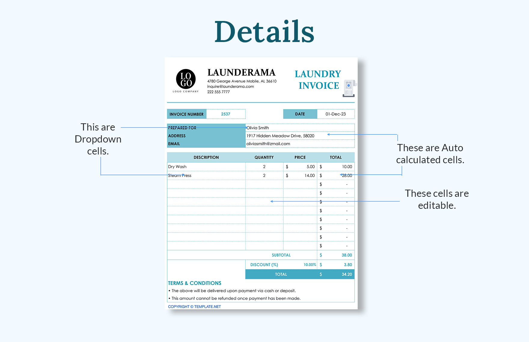 Laundry Invoice Template