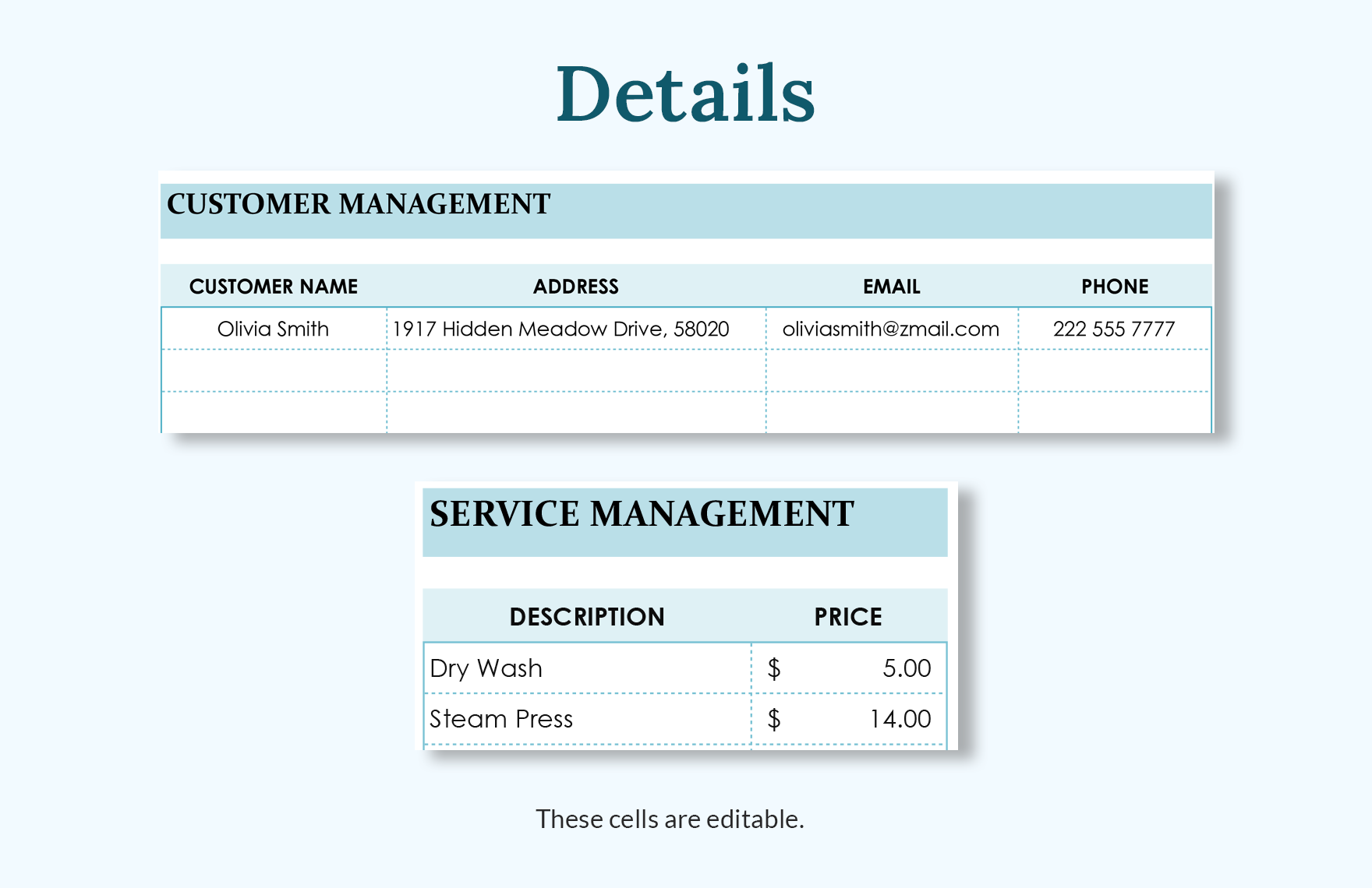 Laundry Invoice Template