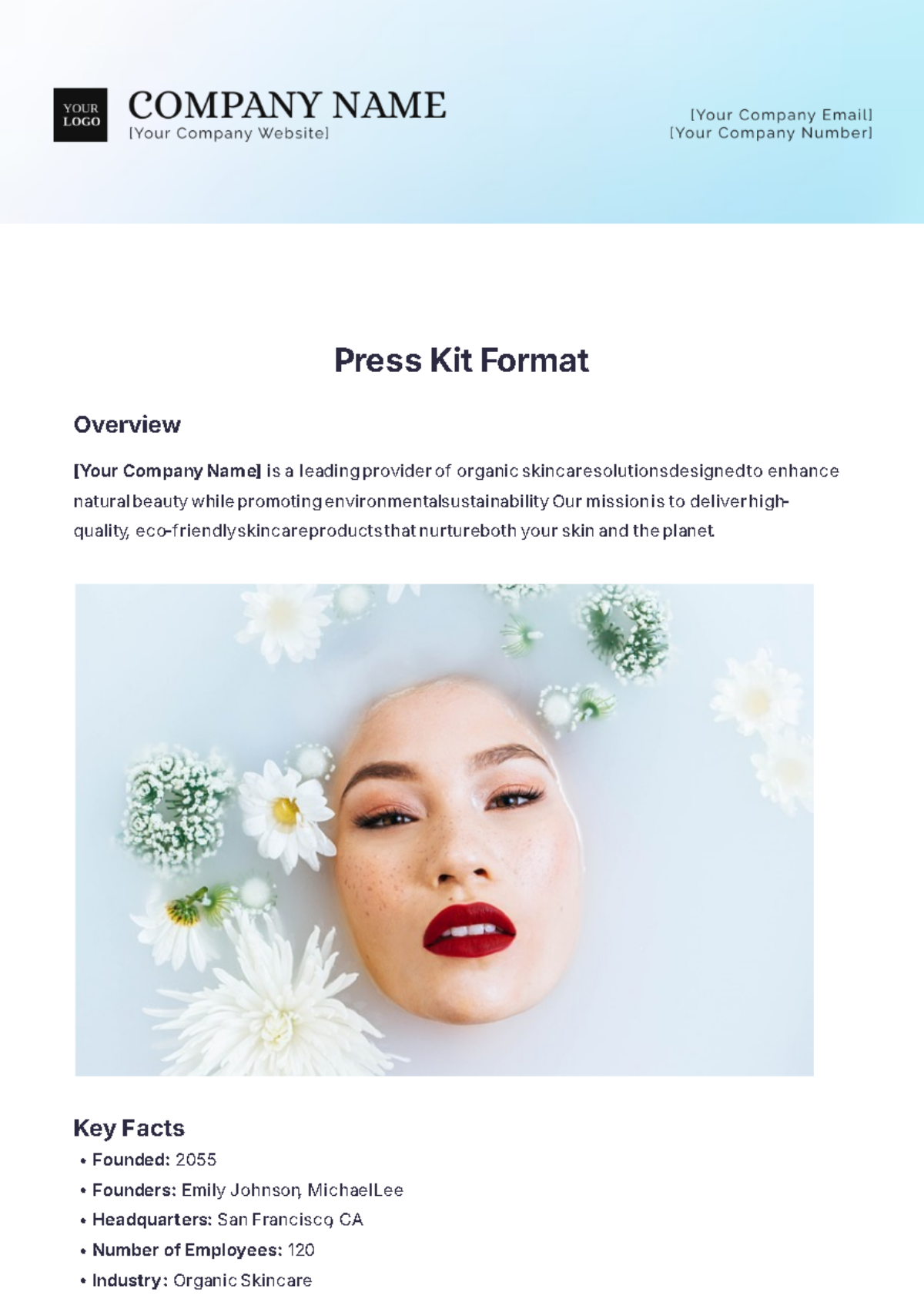 Press Kit Format Template - Edit Online & Download