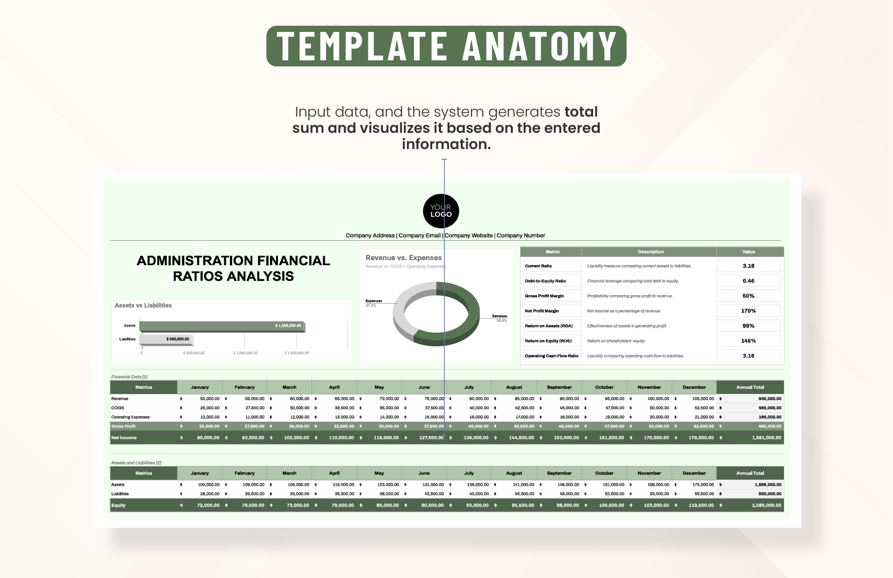 Administration Financial Ratios Analysis Template