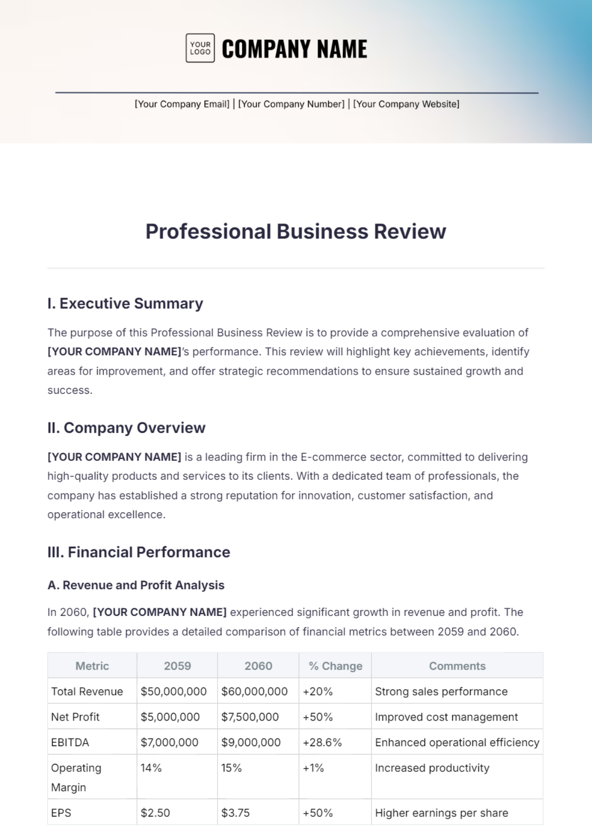 Professional Business Review Template