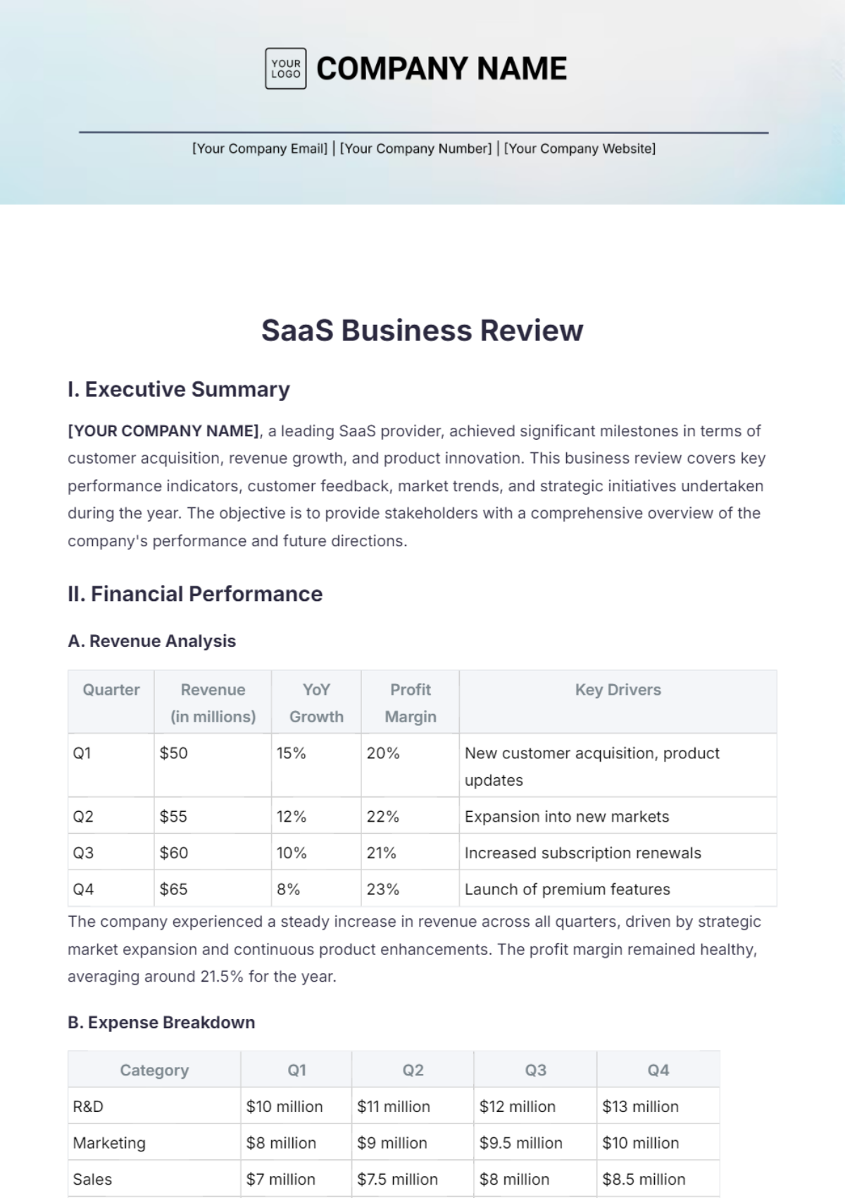 SaaS Business Review Template