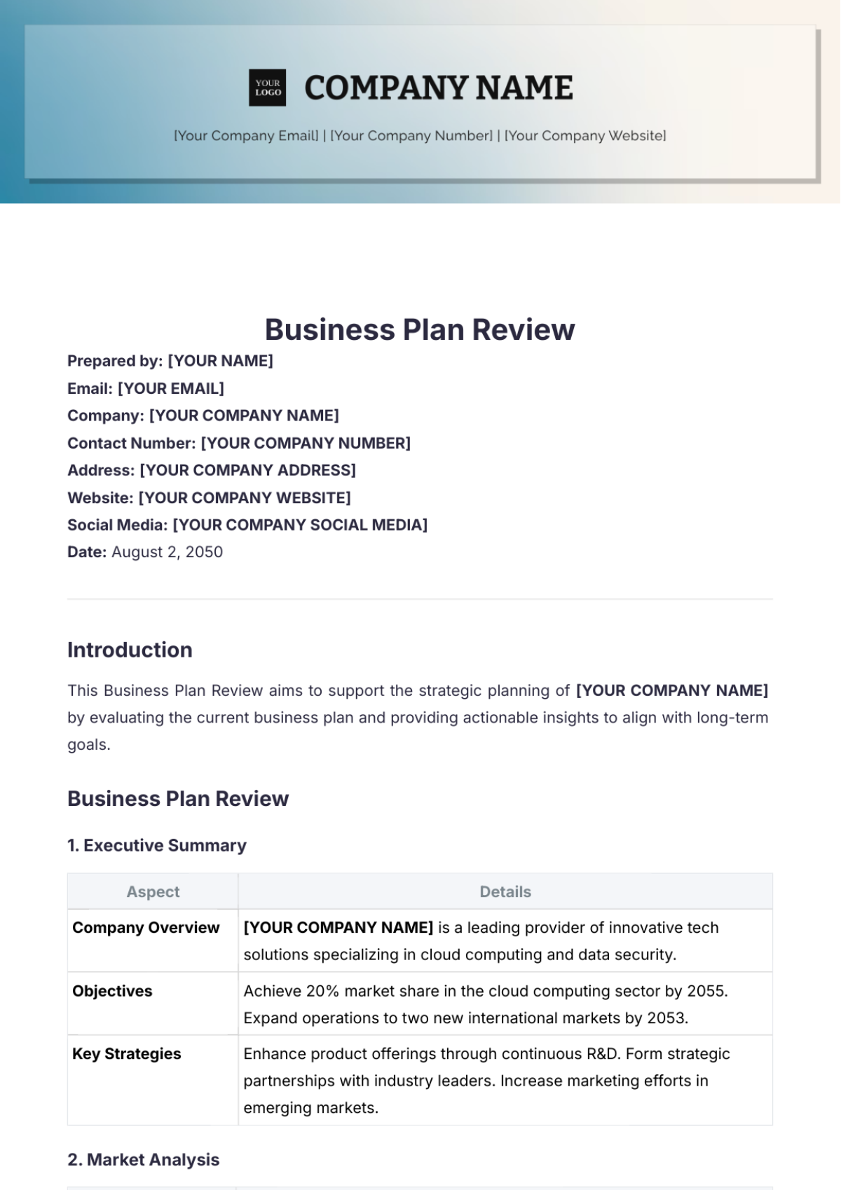 Business Plan Review Template