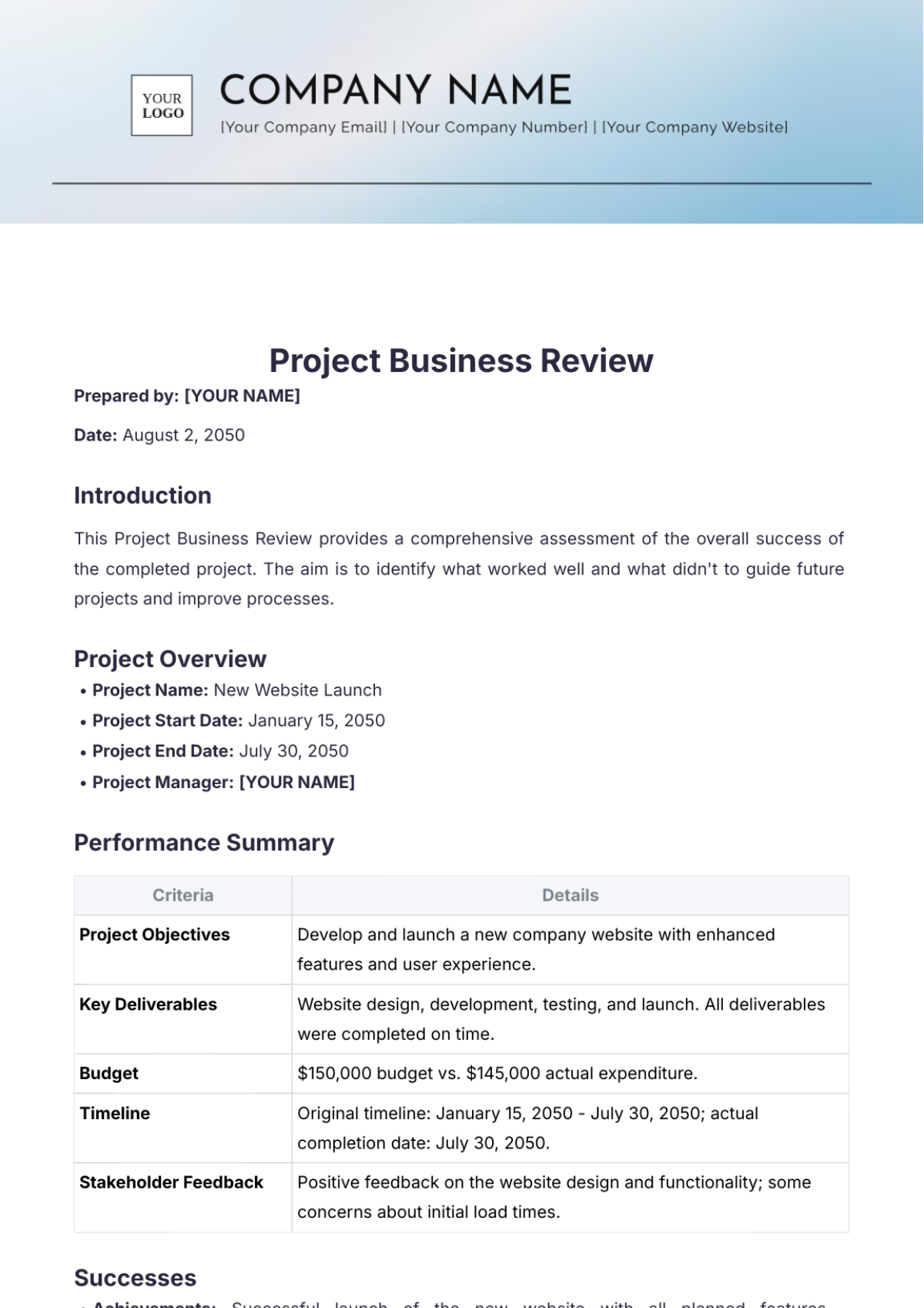 Project Business Review Template