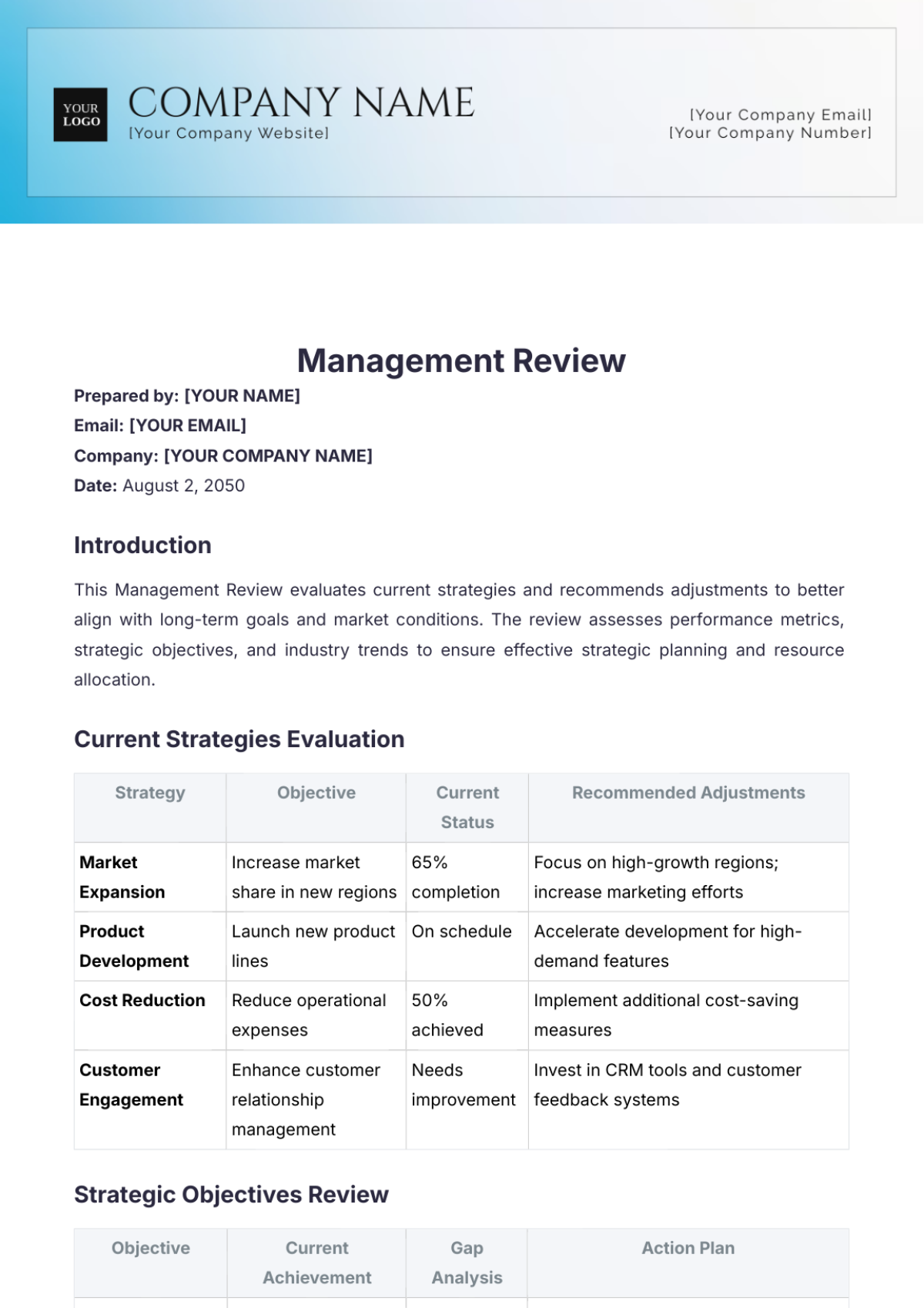 Management Review Template