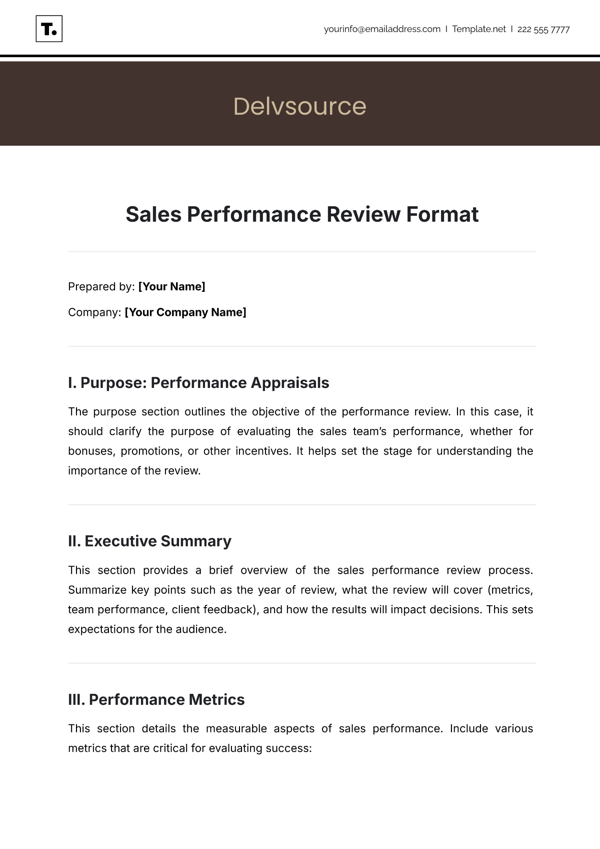 Free Sales Performance Review Format Template