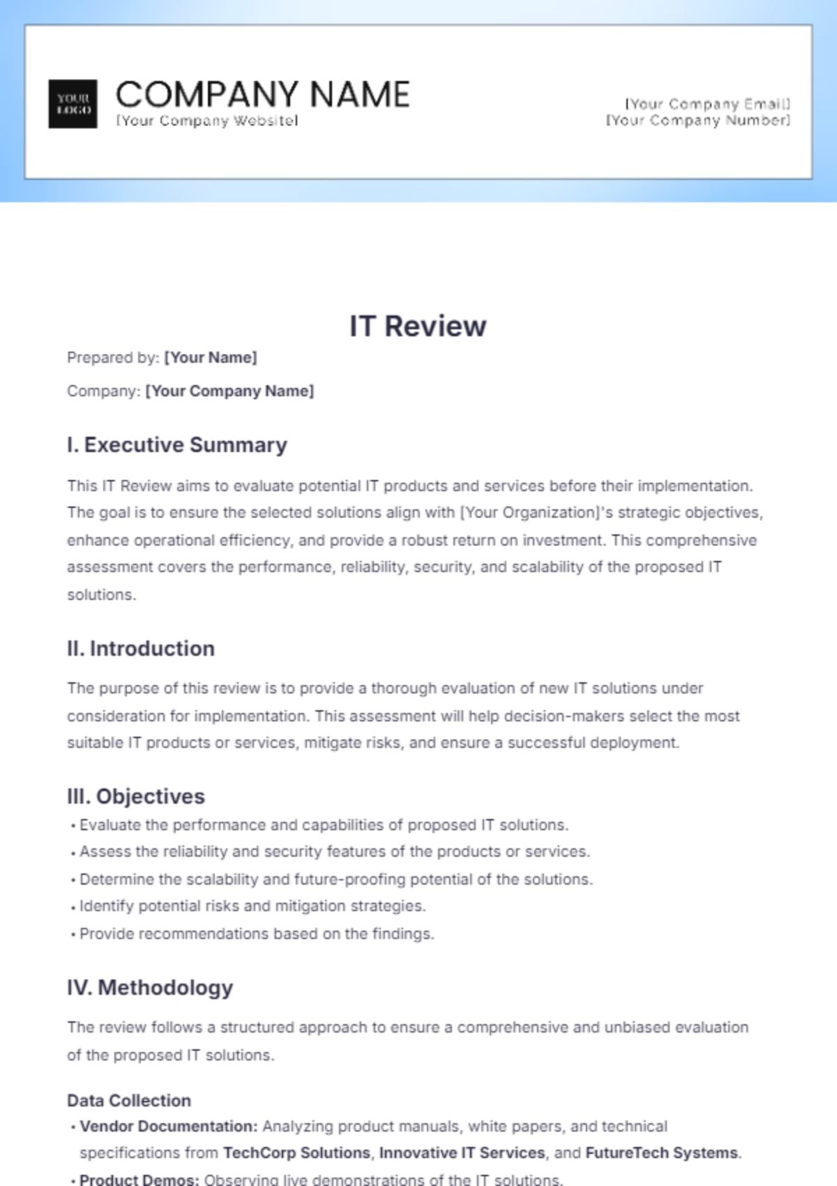 IT Review Template