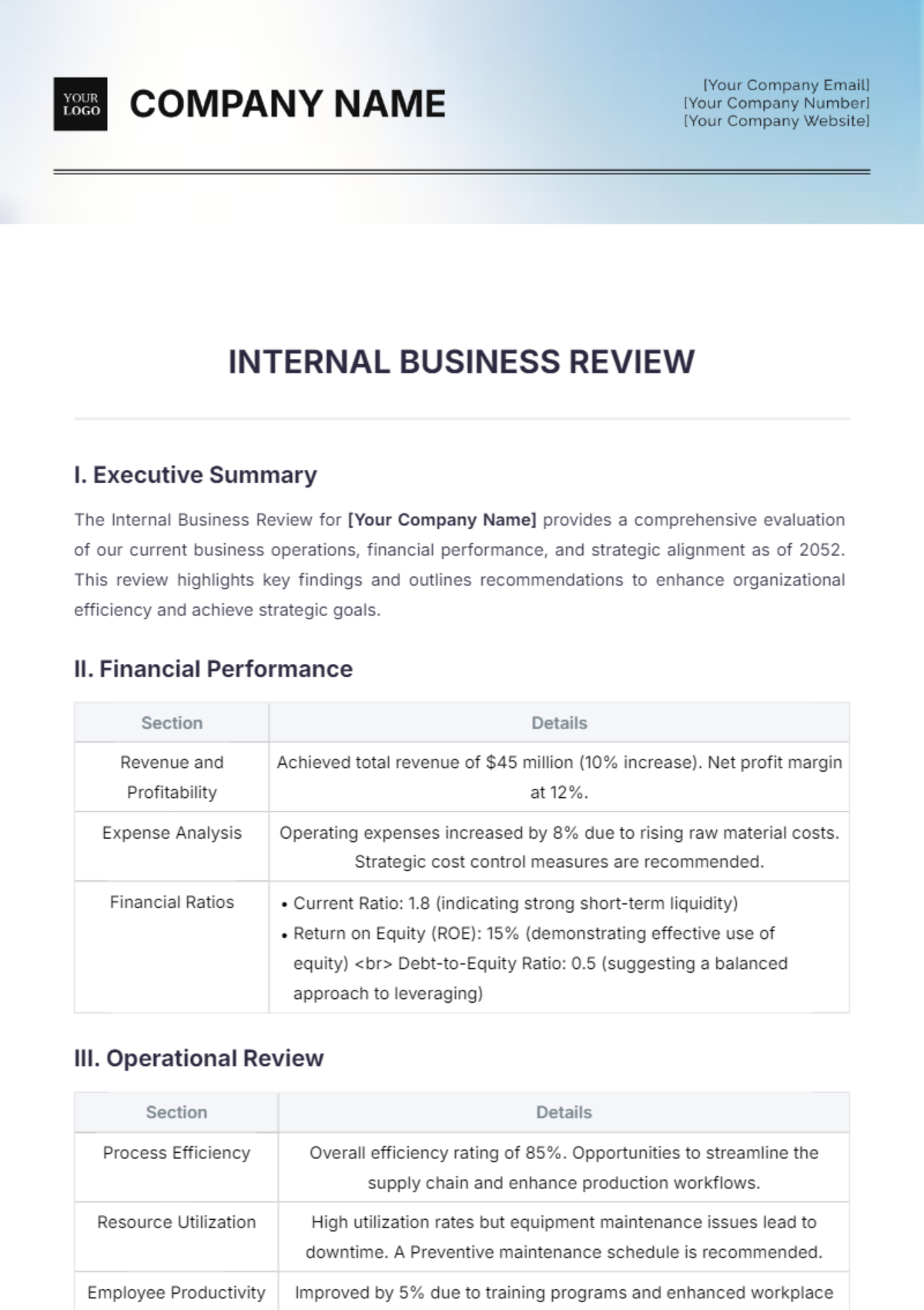 Internal Business Review Template - Edit Online & Download