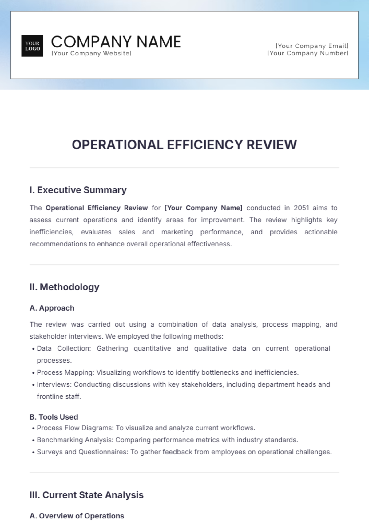 Operational Efficiency Review Template - Edit Online & Download